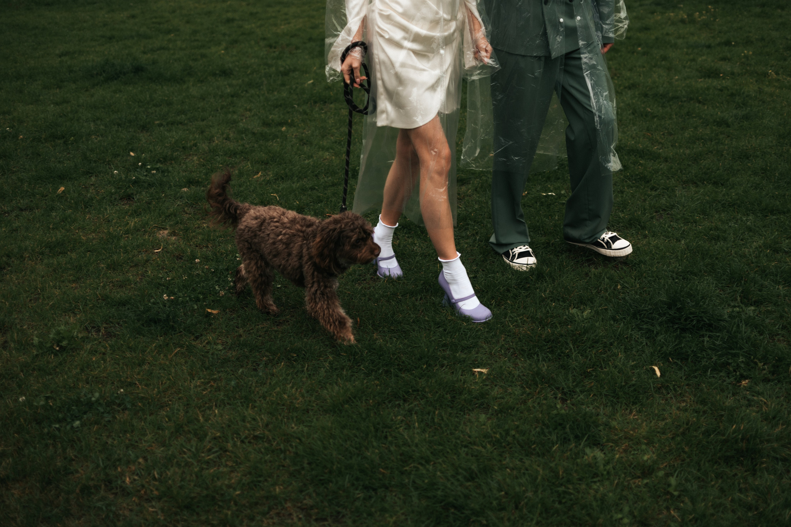 Александра и Дмитрий. Свадебный фотограф Москва и Санкт-Петербург. Анастасия Чудина