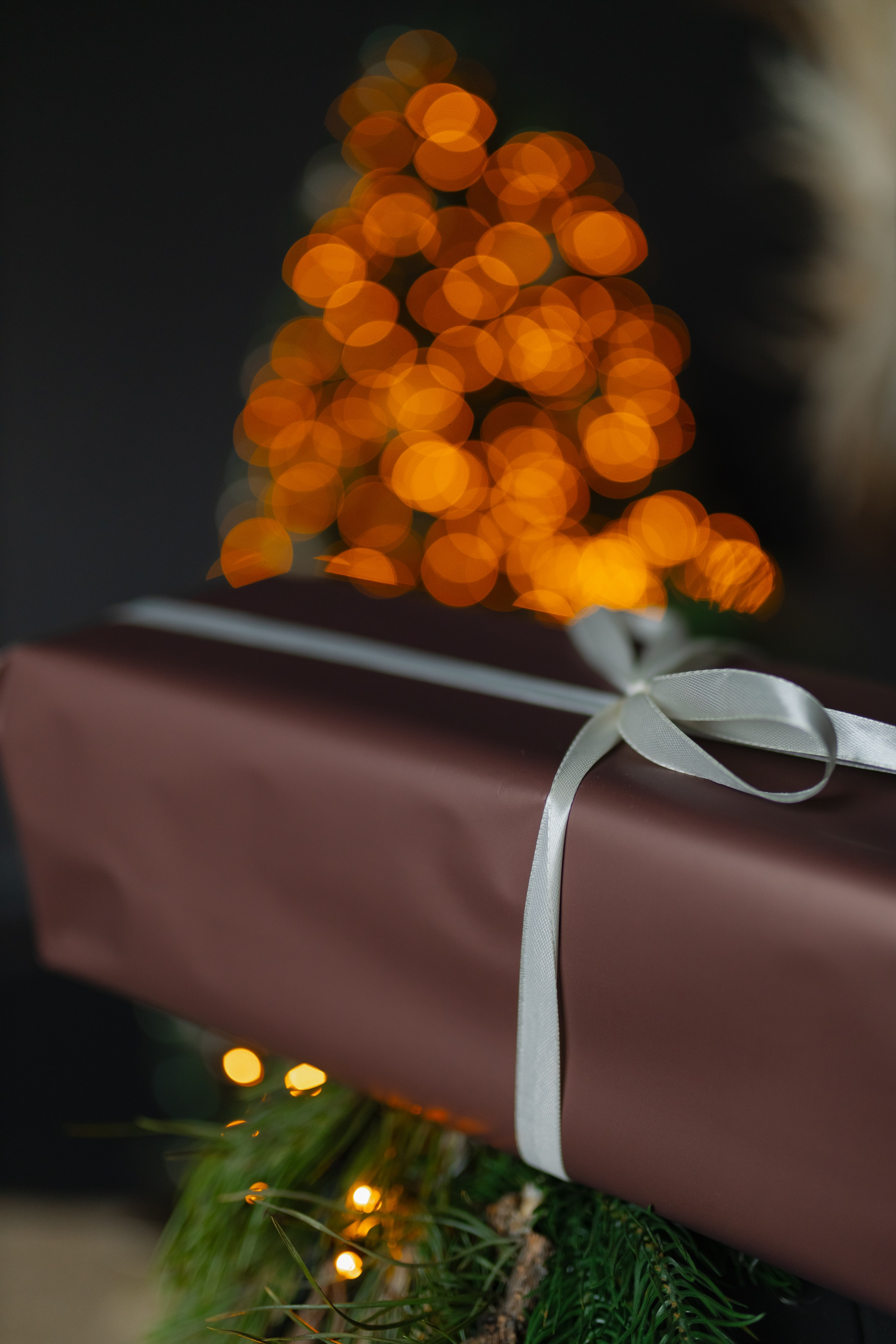 Семейная новогодняя съемка. Свадебный фотограф в Минске/Беларуси Сергей Спиридонов