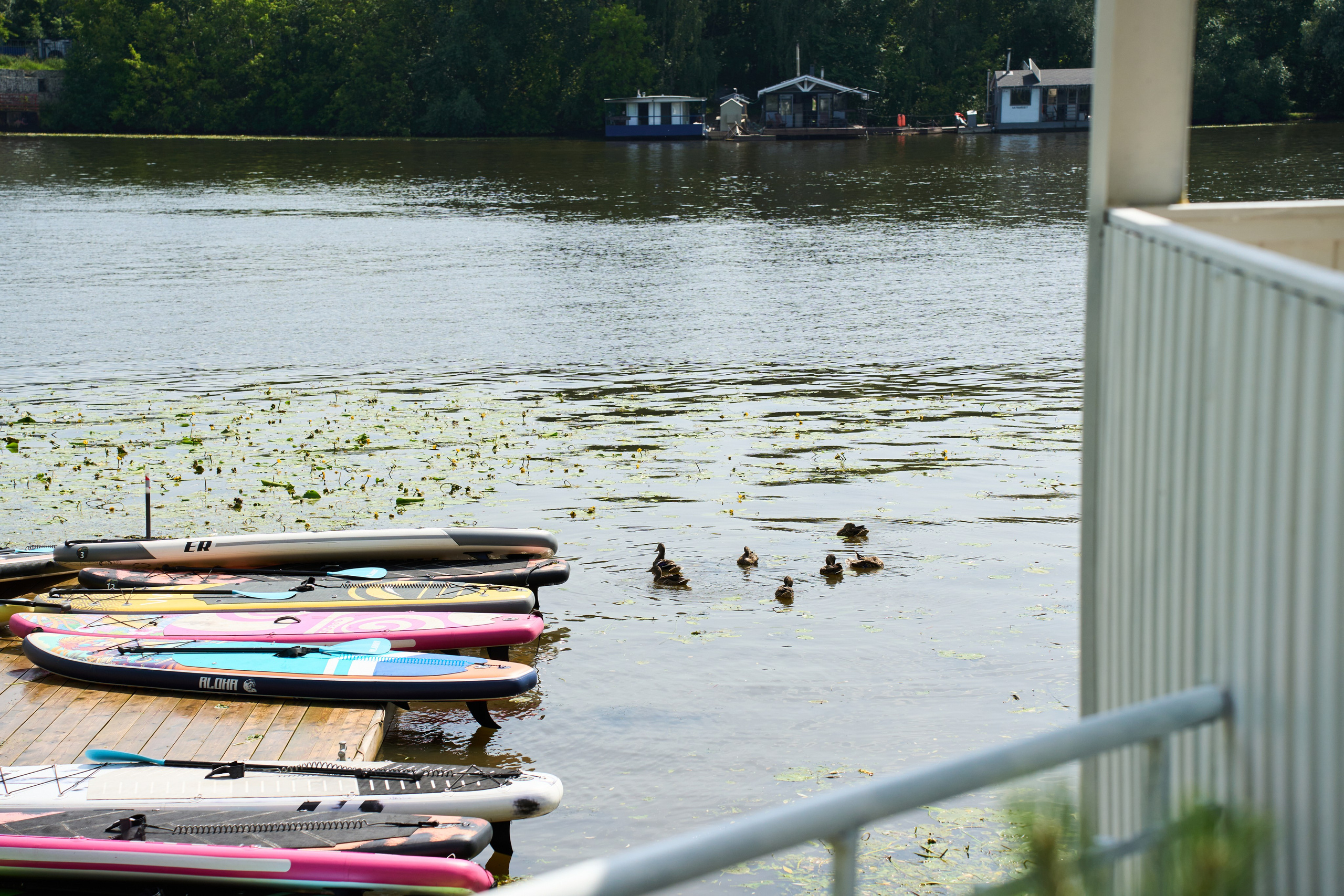 All-hands Третье Мнение 2025. Елизавета Мальгина, фотограф в Москве
