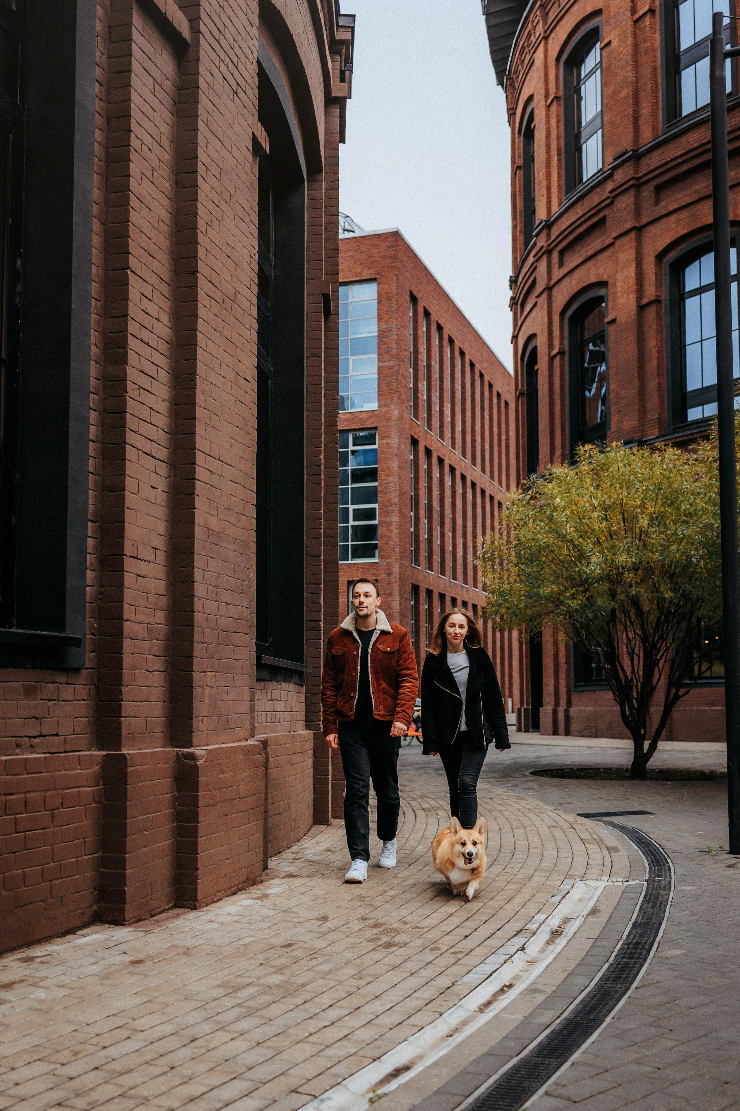 Вера, Саша и Муна. Фотограф-анималист Елена Радченко, Москва