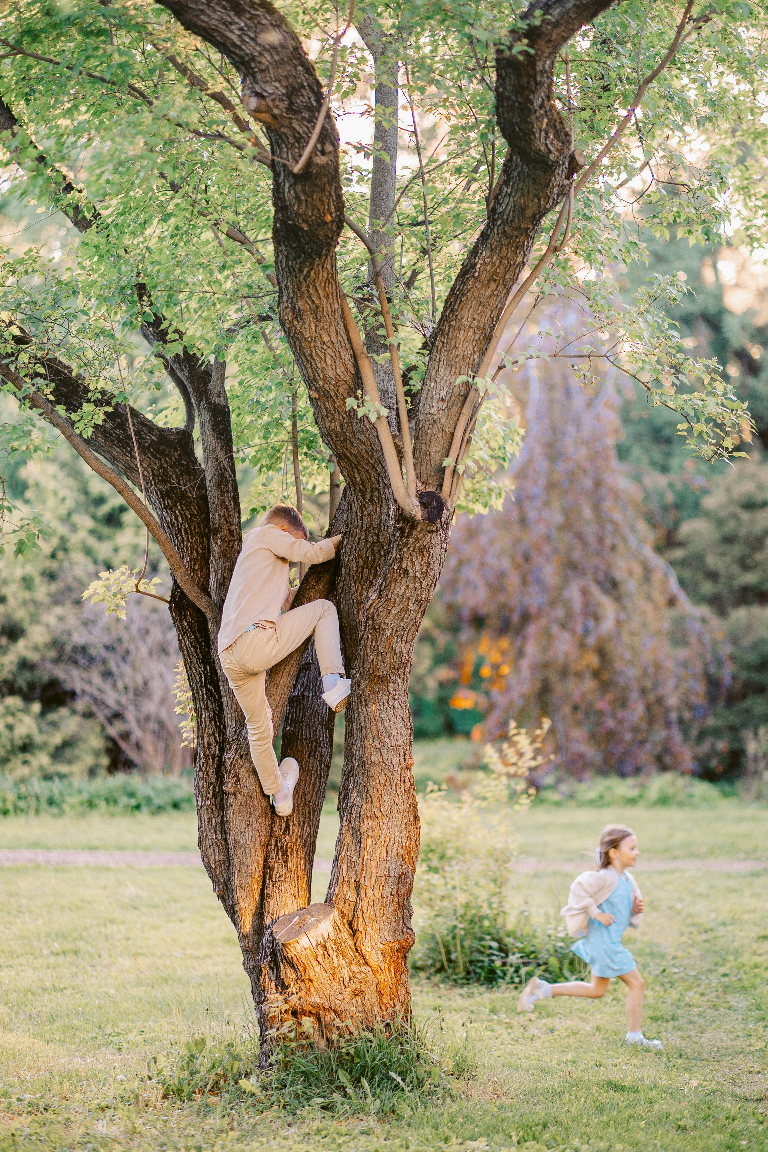 дети как обезьянки залезли на дерево 