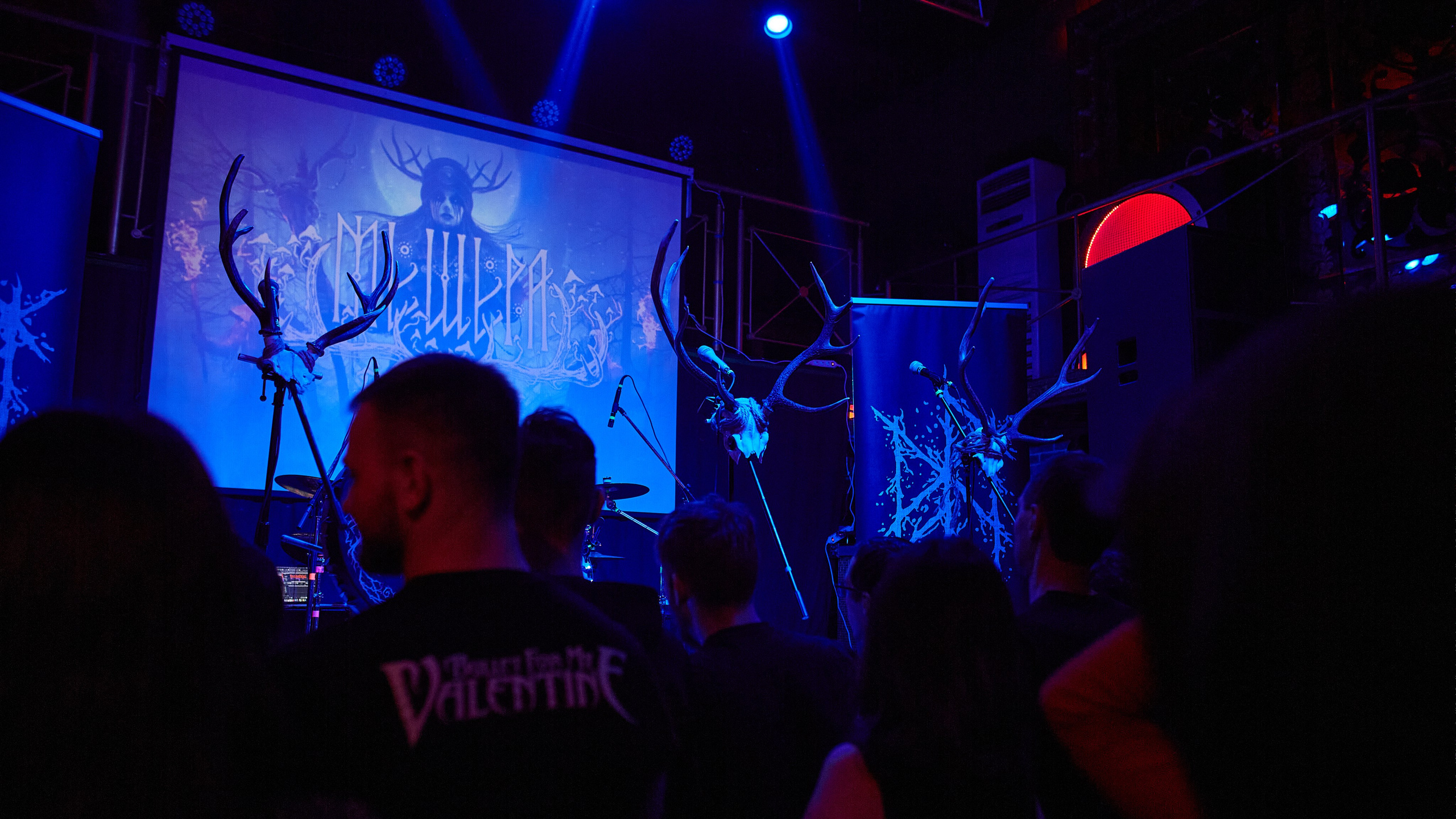 2023-12-24. Мещера