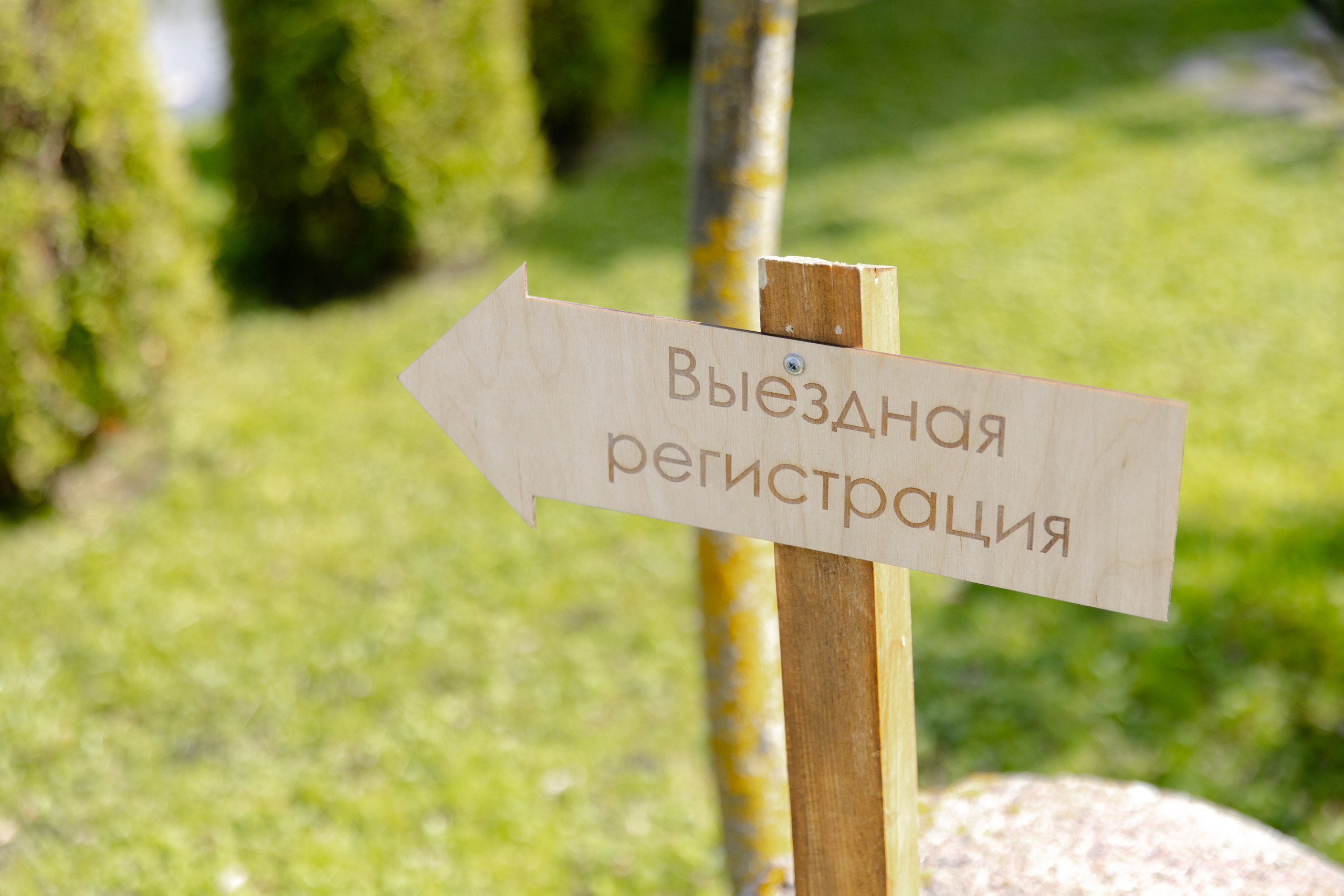 Антон и Наташа. Свадебный фотограф Анна Бабахина