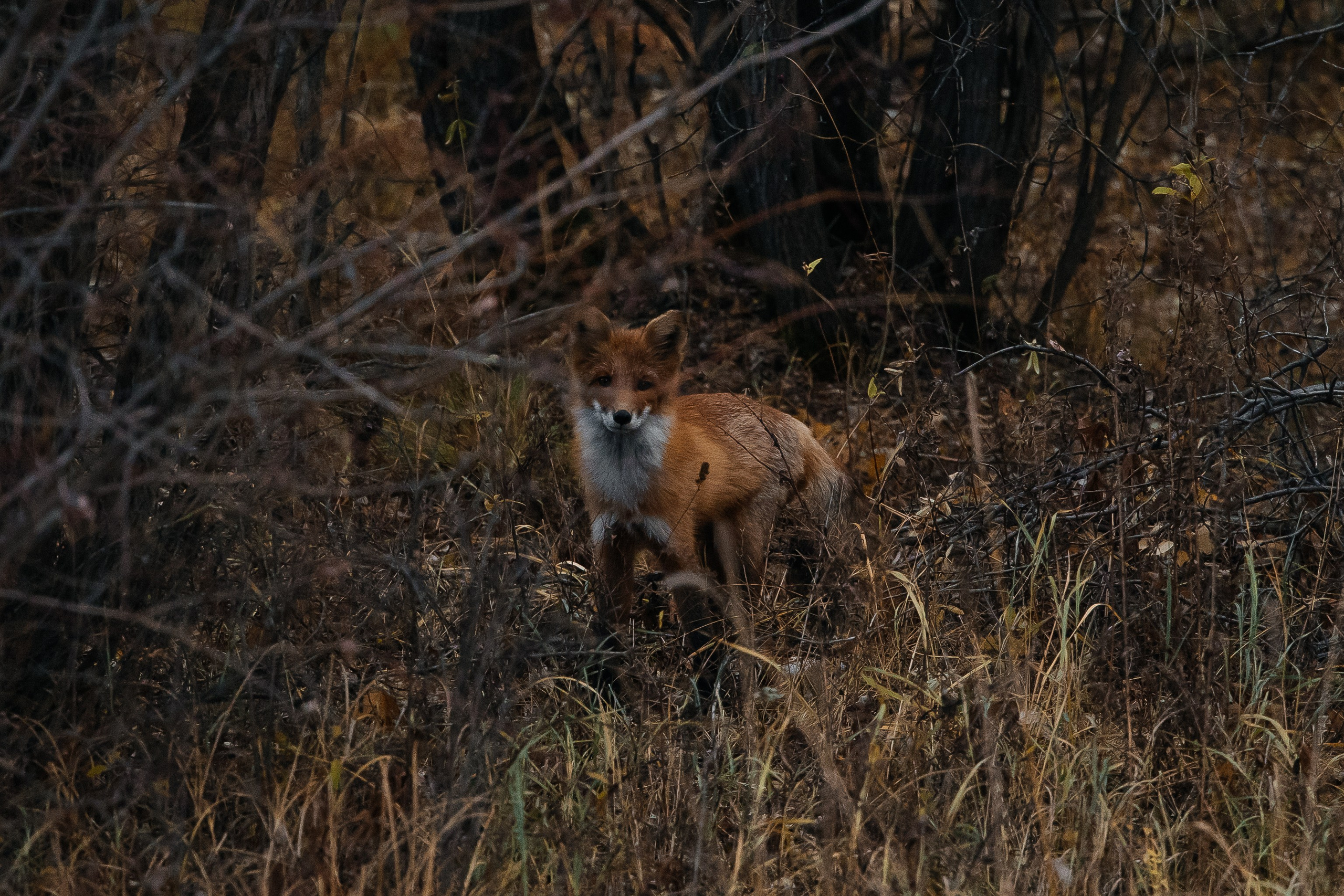 ПЕЙЗАЖ И ЛЮДИ. Саргылана Афанасьева
