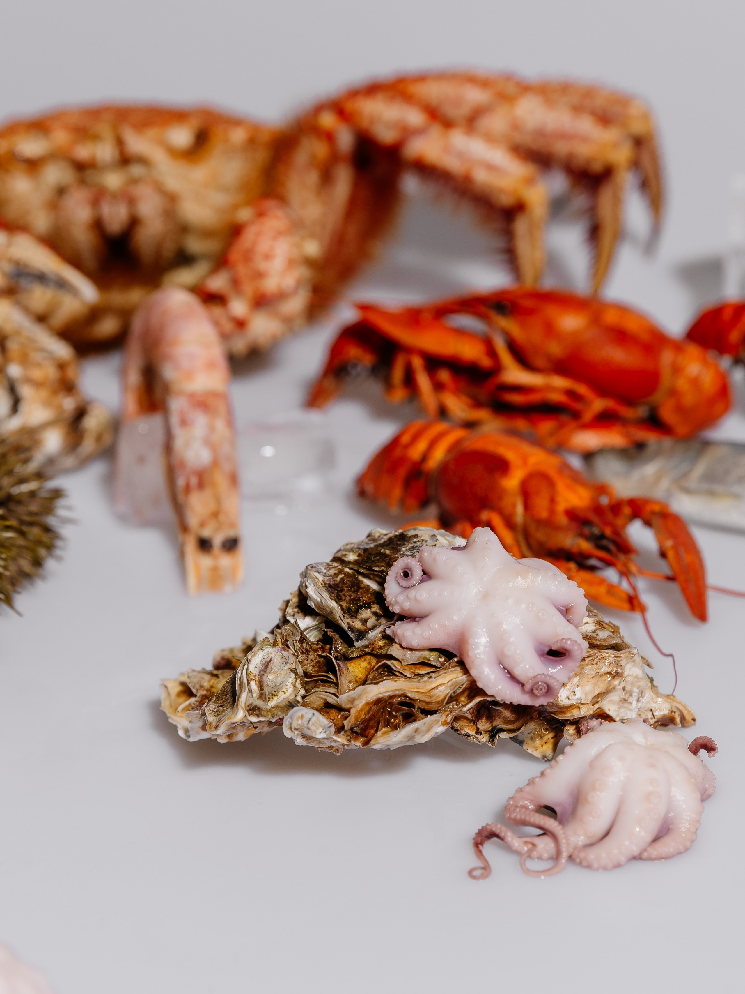 Splash.sea. Профессиональный фотограф Инесса Новикова в Москве