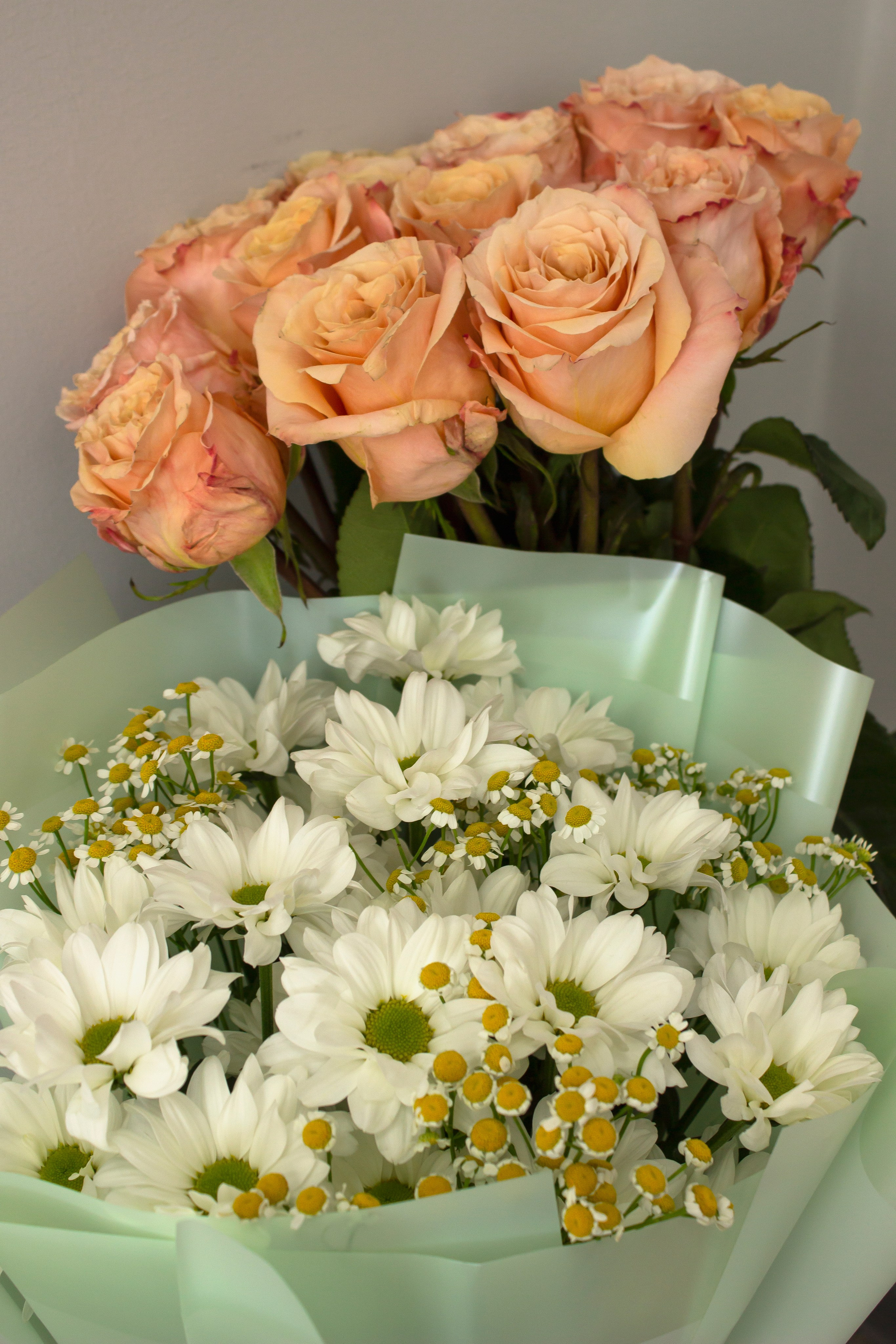 Юбилей колледжа 95 летие. Фотограф Алексеева Арина