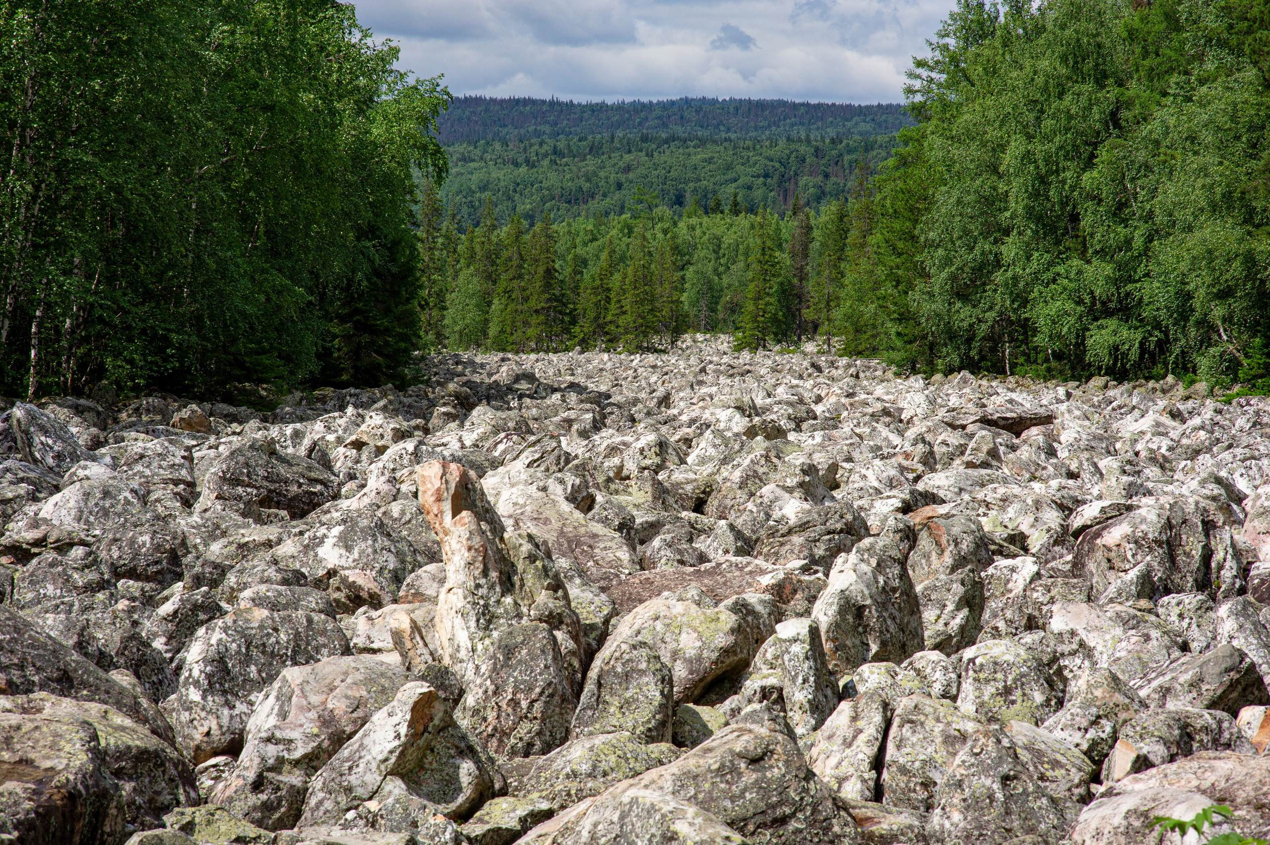 Фотограф Шариков Илья