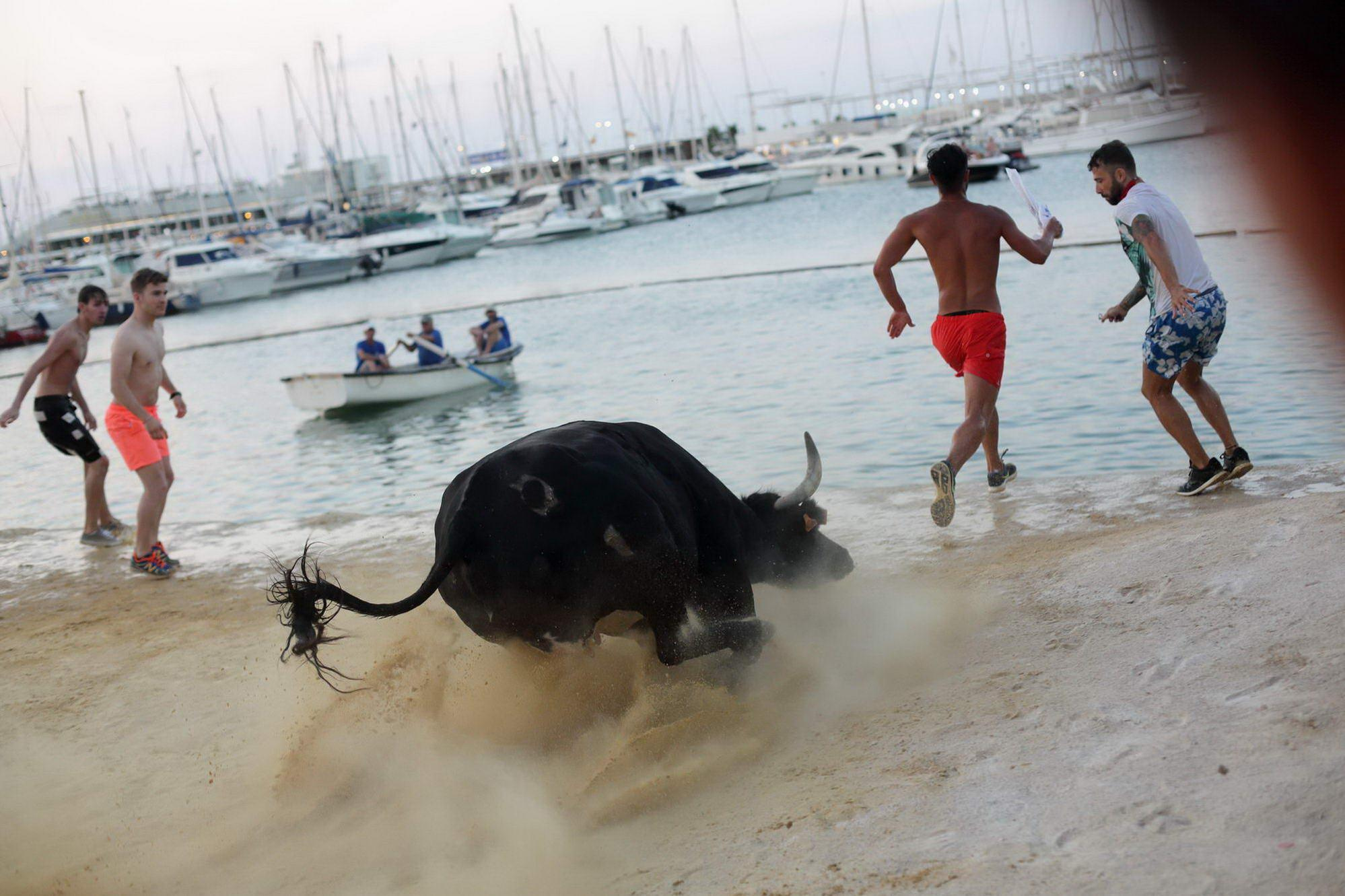 Павел Маркелов, фотограф