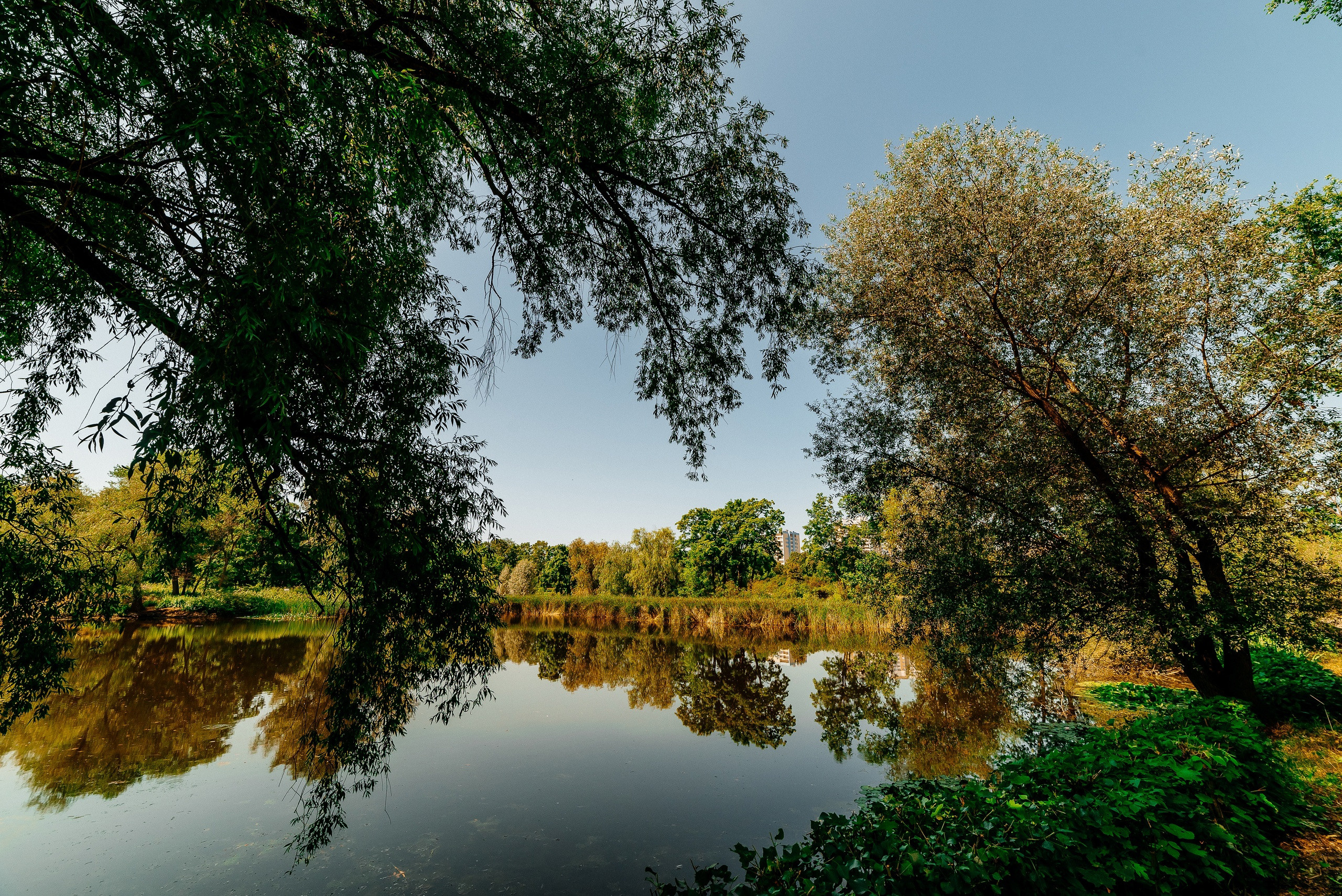 самара, ботанический сад