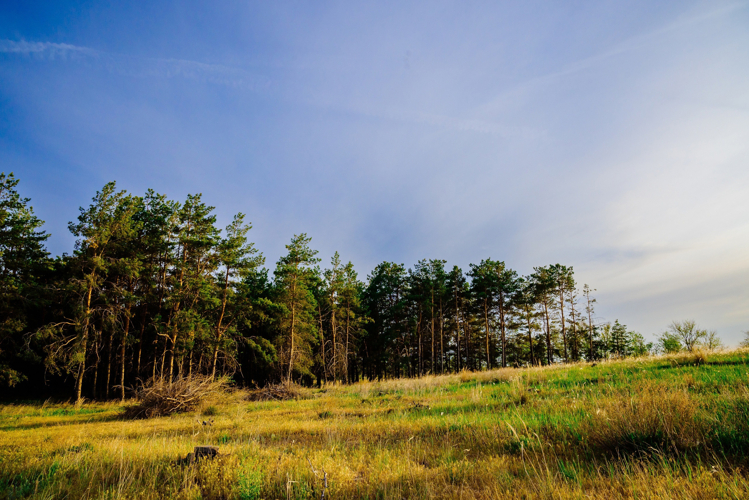 Пейзажи. Фотограф в Уральске | Трищенков Гордей