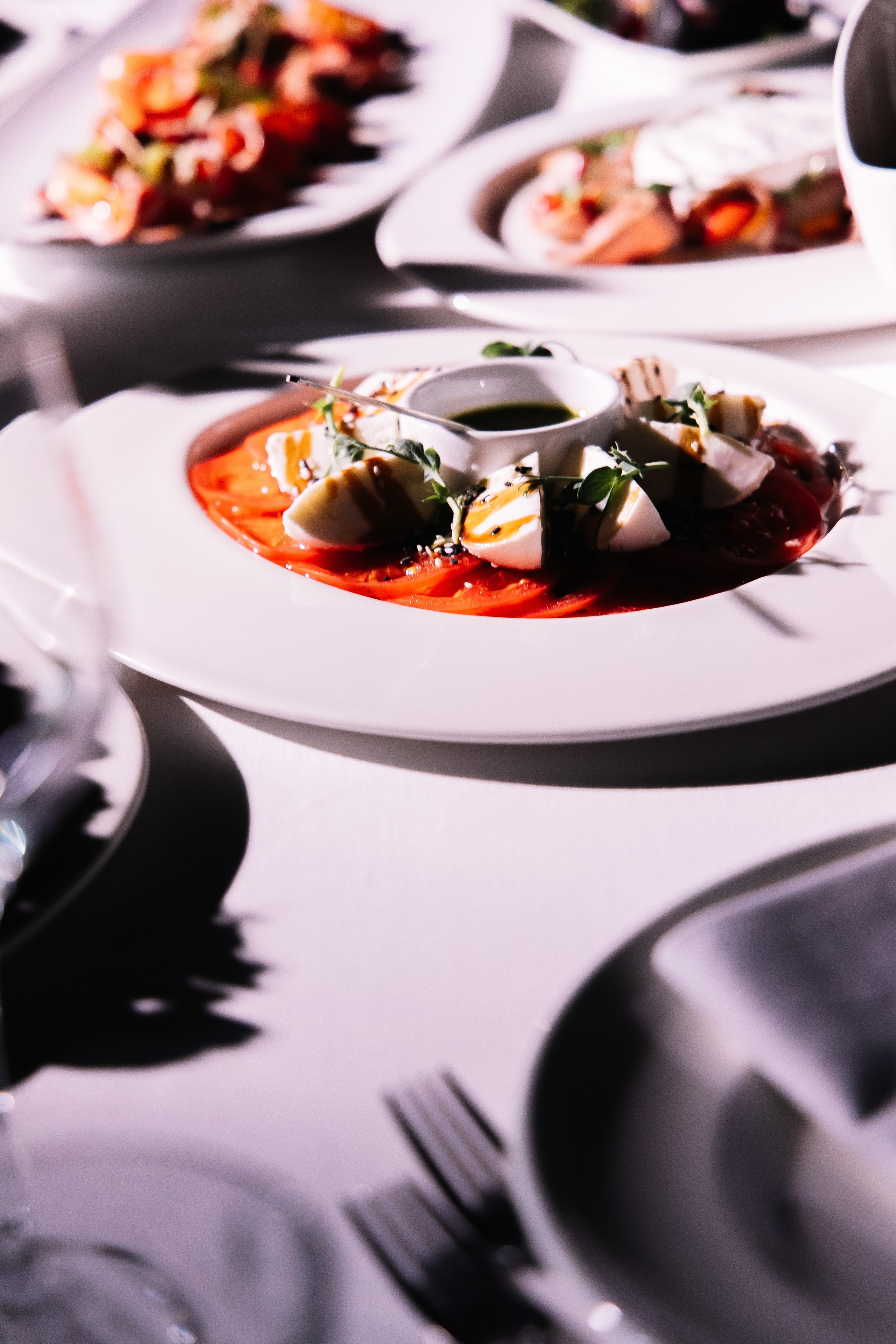 TEM Partner. Reportage photographer Vlad Shishkin