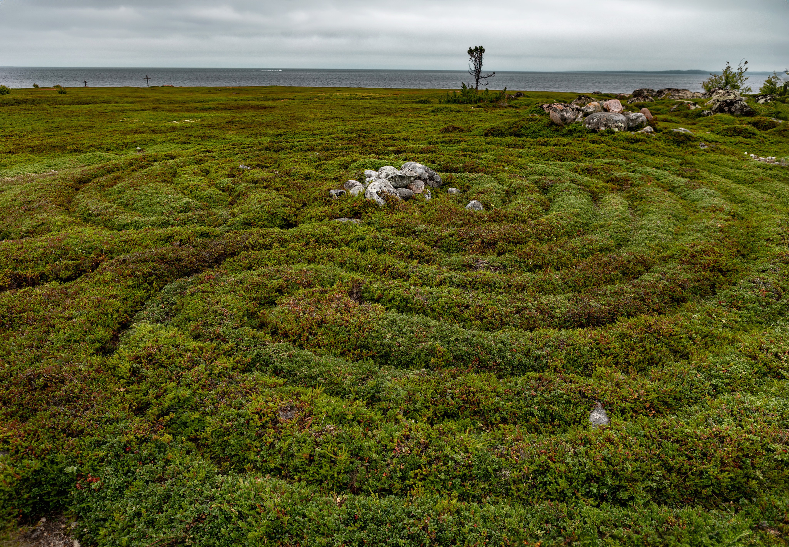 Travel. Индивидуальная и семейная съёмка. Москва, Наталья Самохвалова