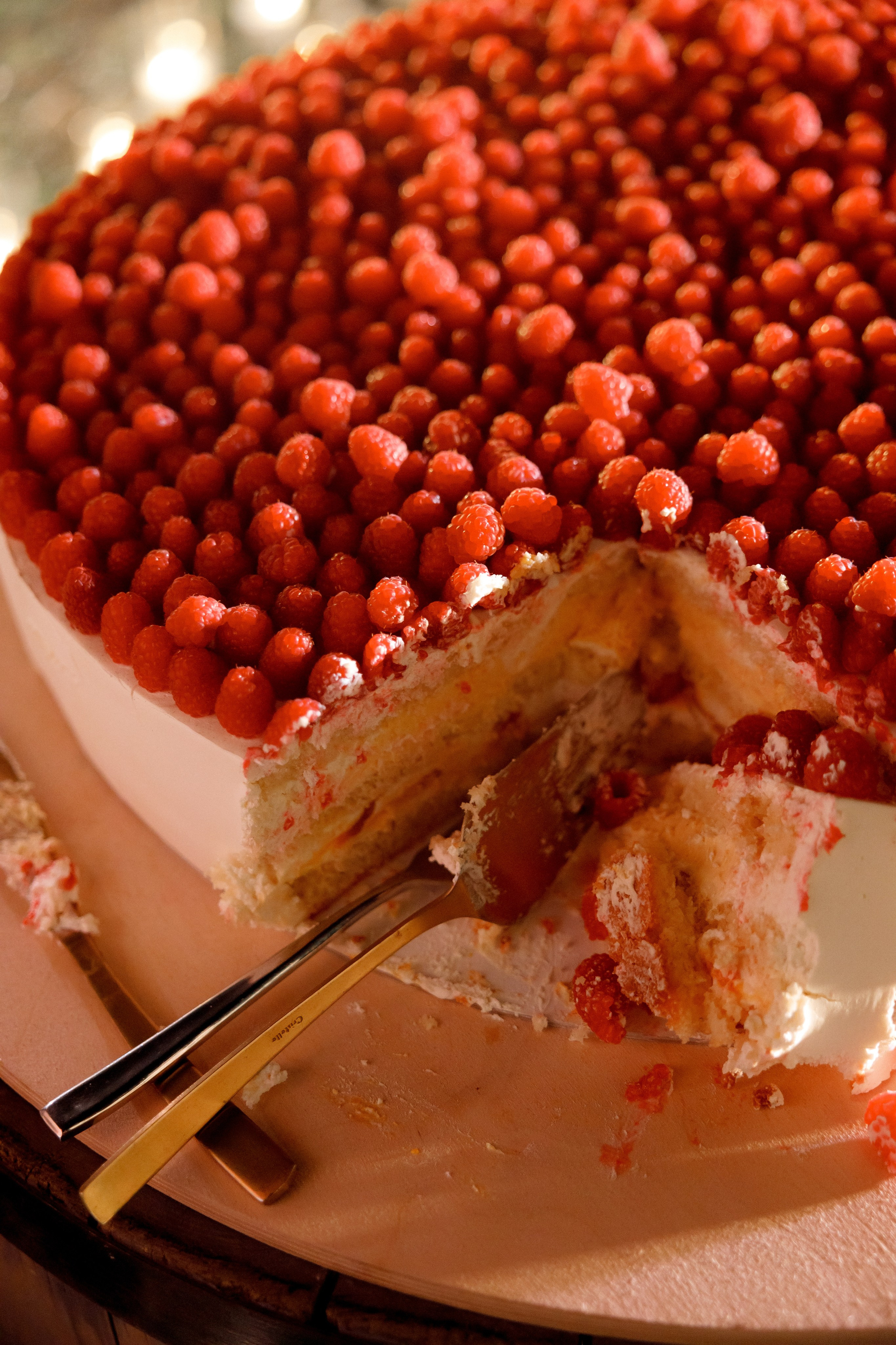 Серия со свадьбы  в загородном отеле Pineriver. Свадебный фотограф в Москве и Санкт-Петербурге Денис Ходюков