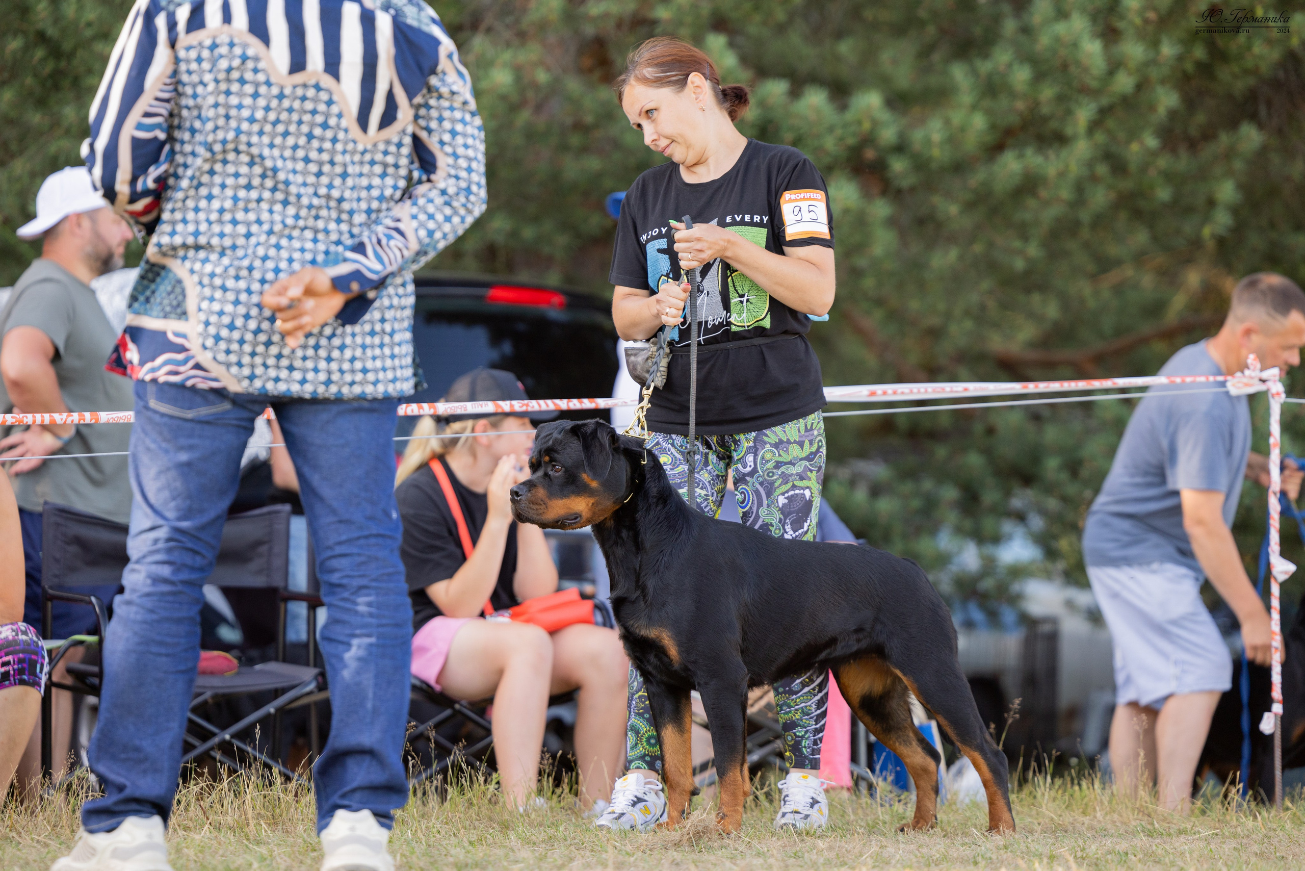 ПК и КЧК ротвейлеры Тверь 6-7.07.2024. Фотограф-анималист Юлия Германика