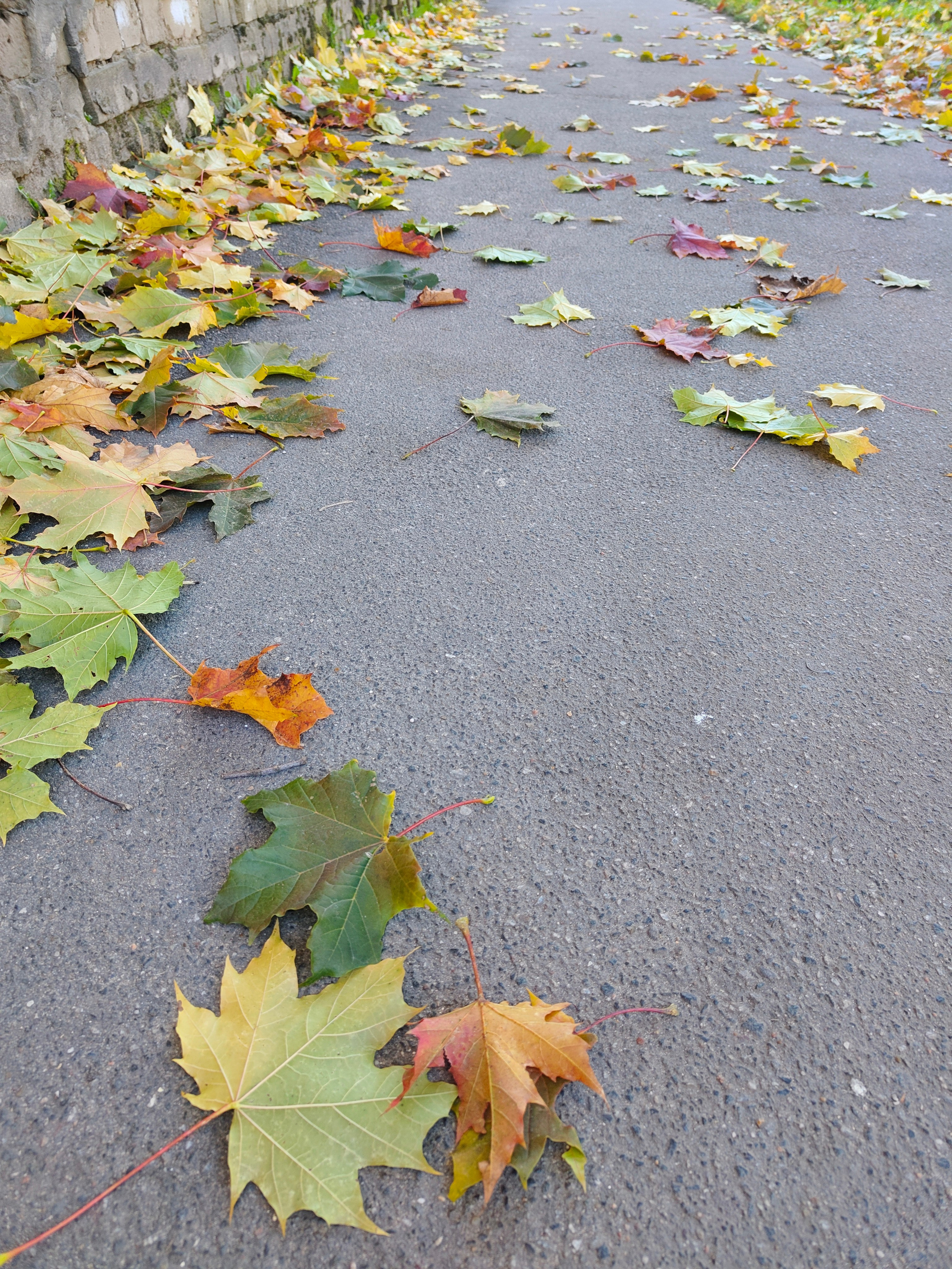 Торжок 25. Фотохудожник BID