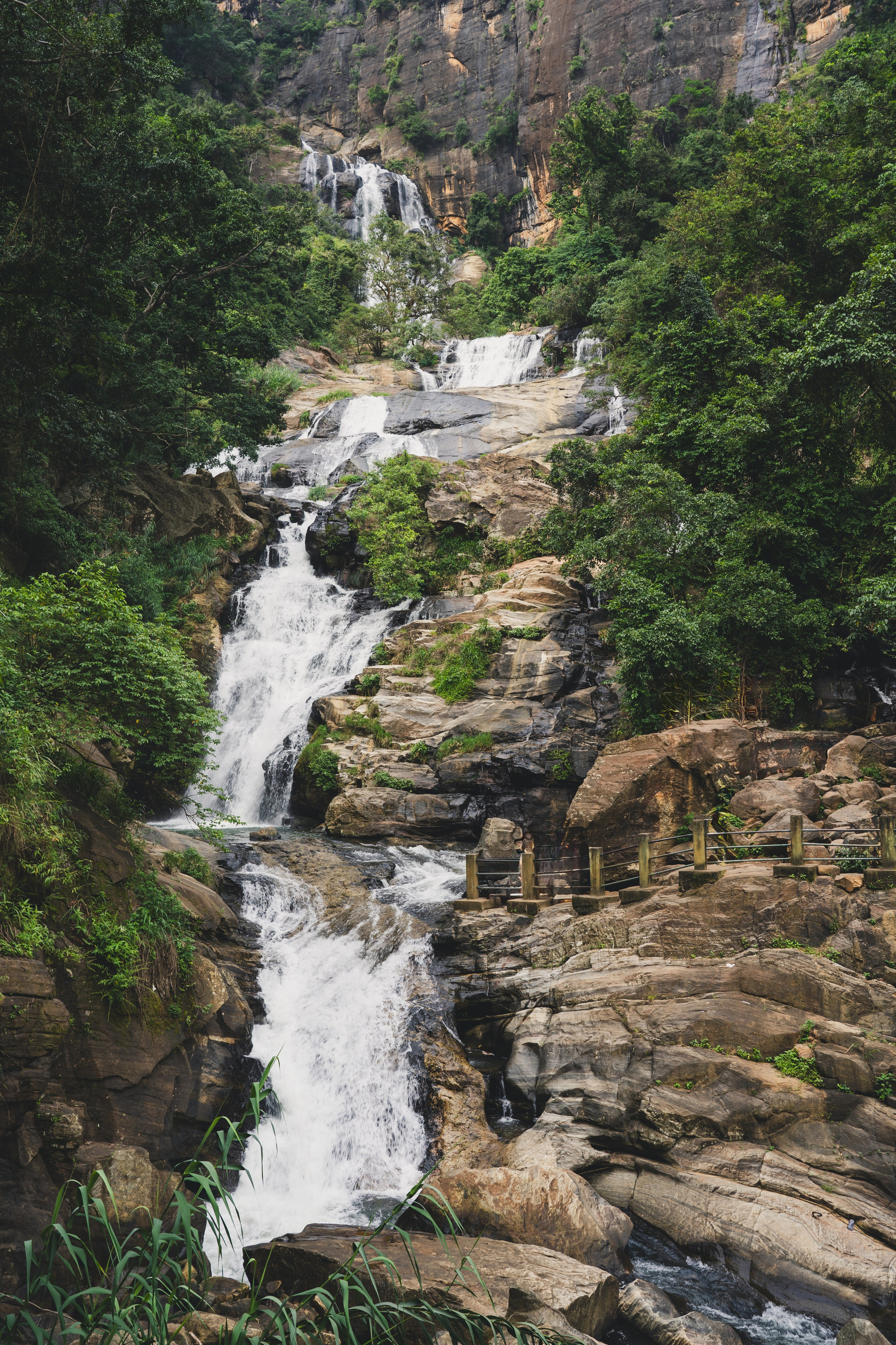 Шри-Ланка 2025. Легкая фотография