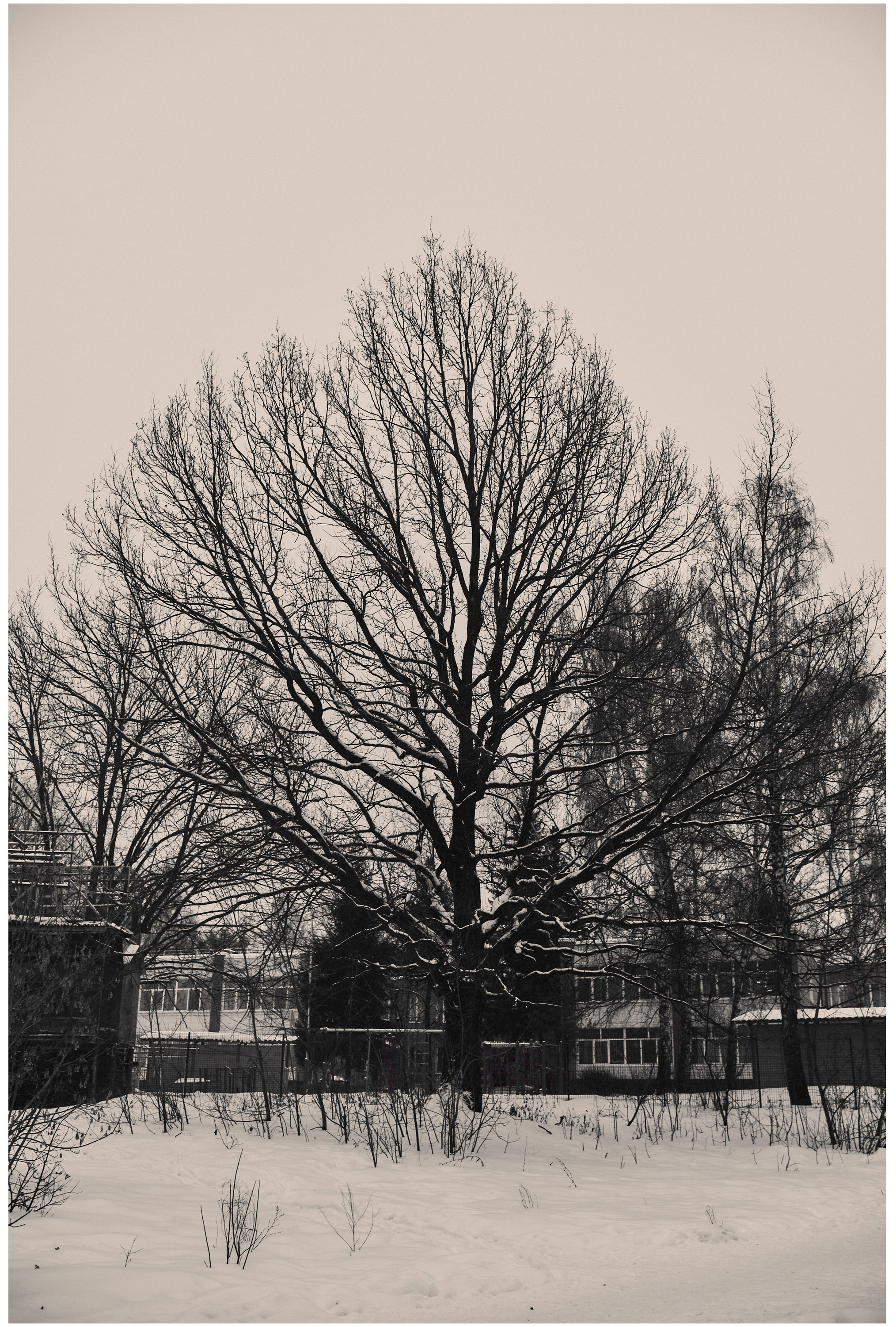 Фотопоказ «Каркас». Коммерческий фотограф в Казани Ксения Добролюбова