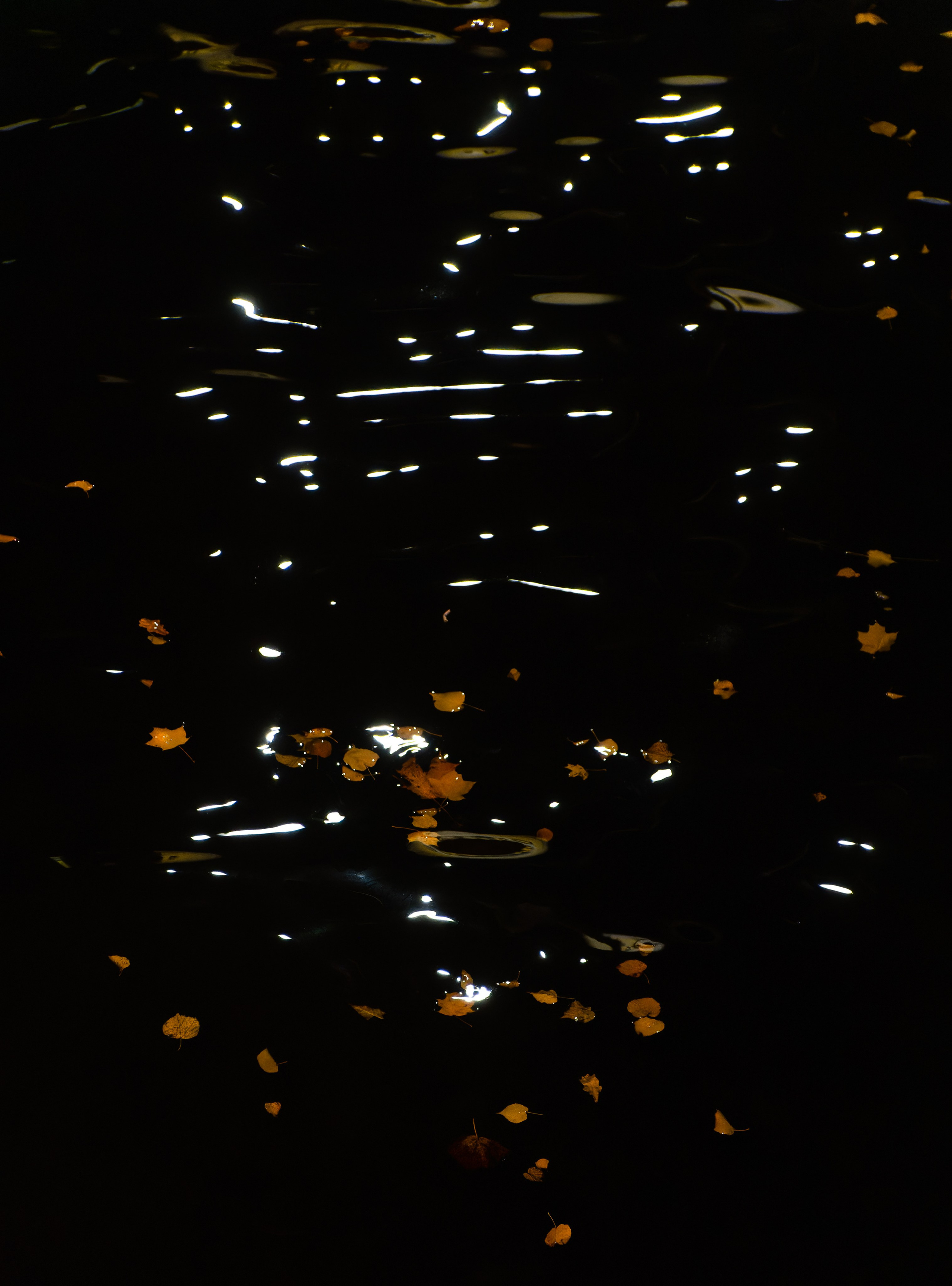 Арт. Oles Paritskiy