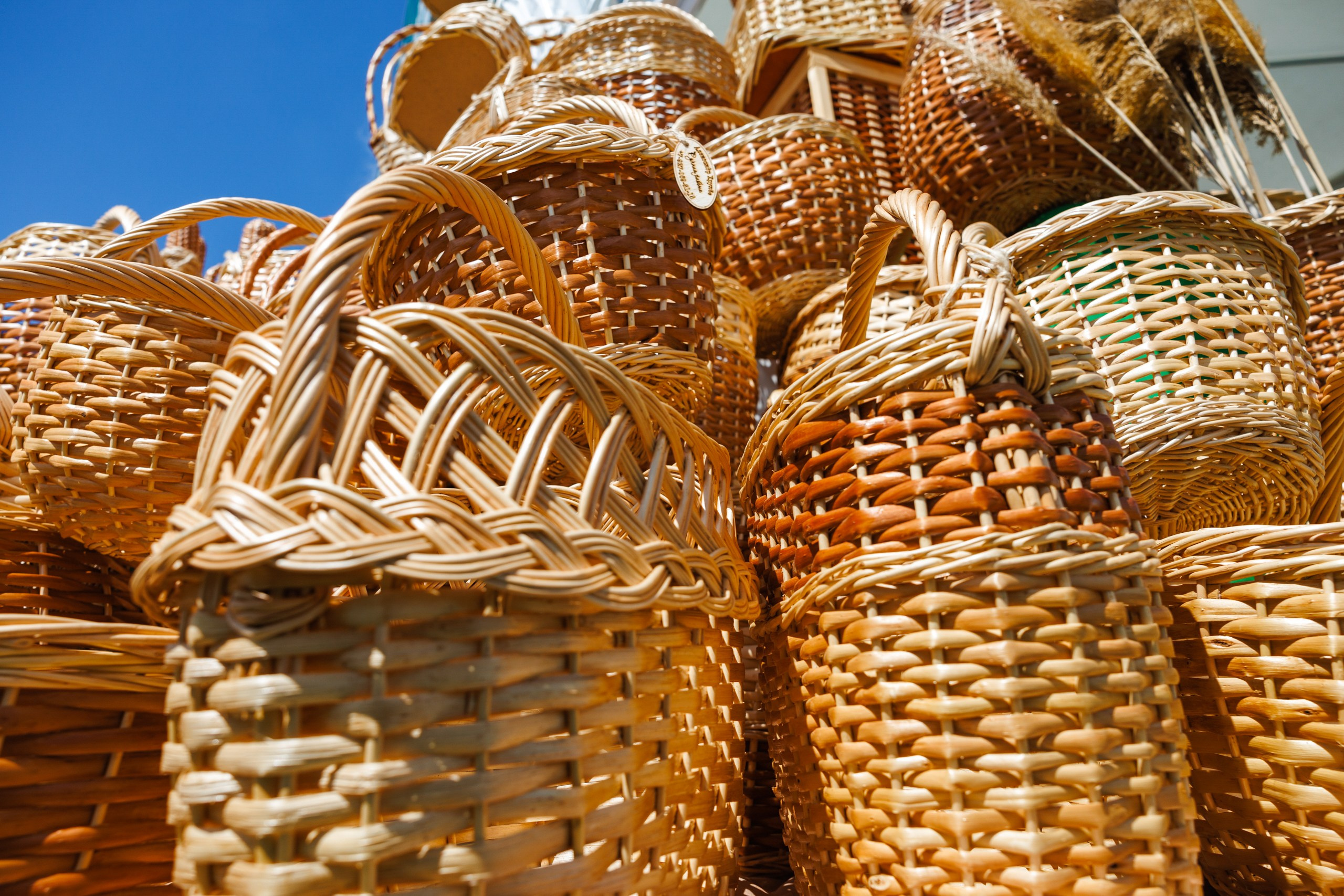 День Поля 2025 Волгоград. Фотограф Ставрополь Петр Голубенко