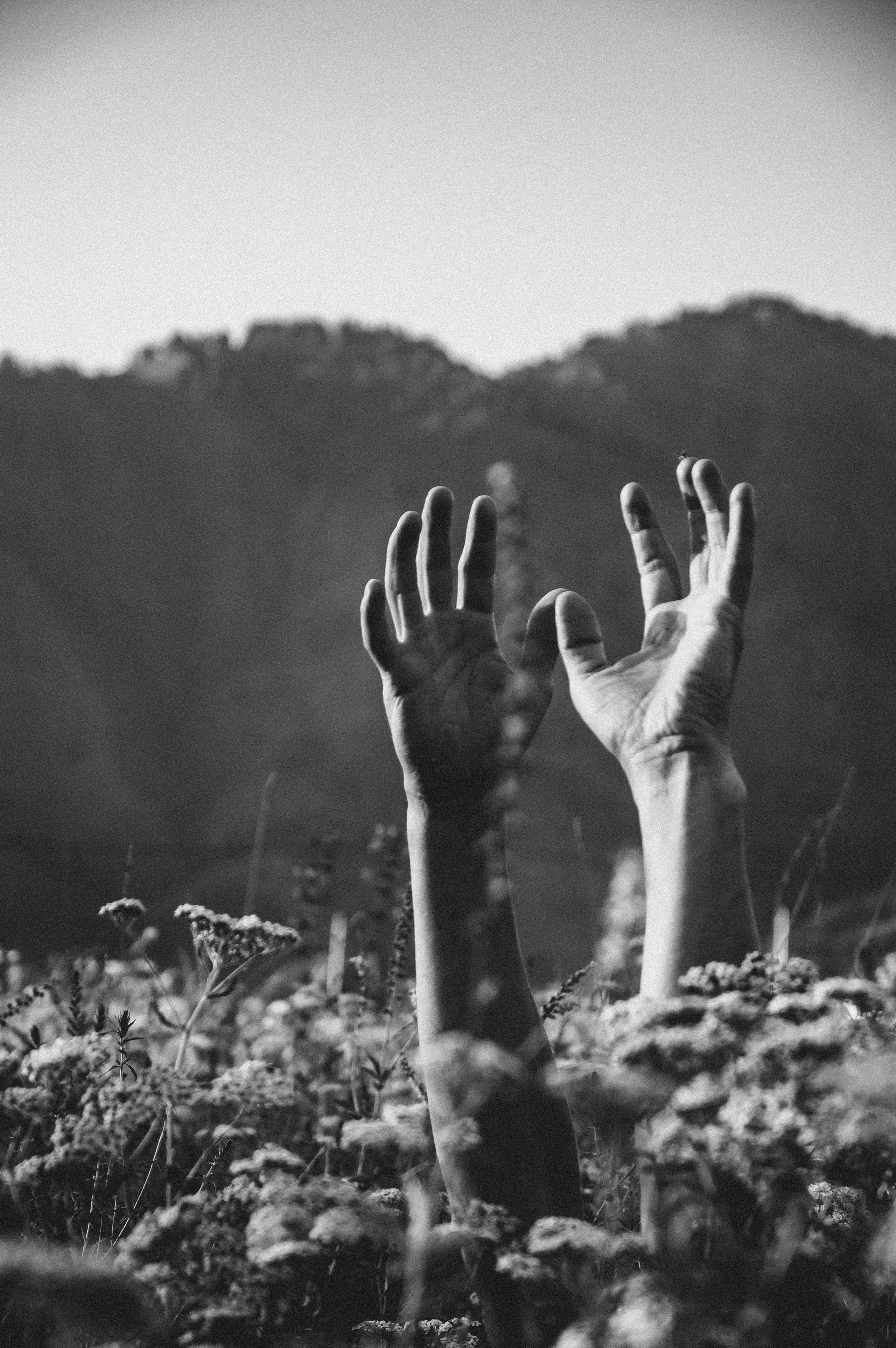 Фотограф. Алтай