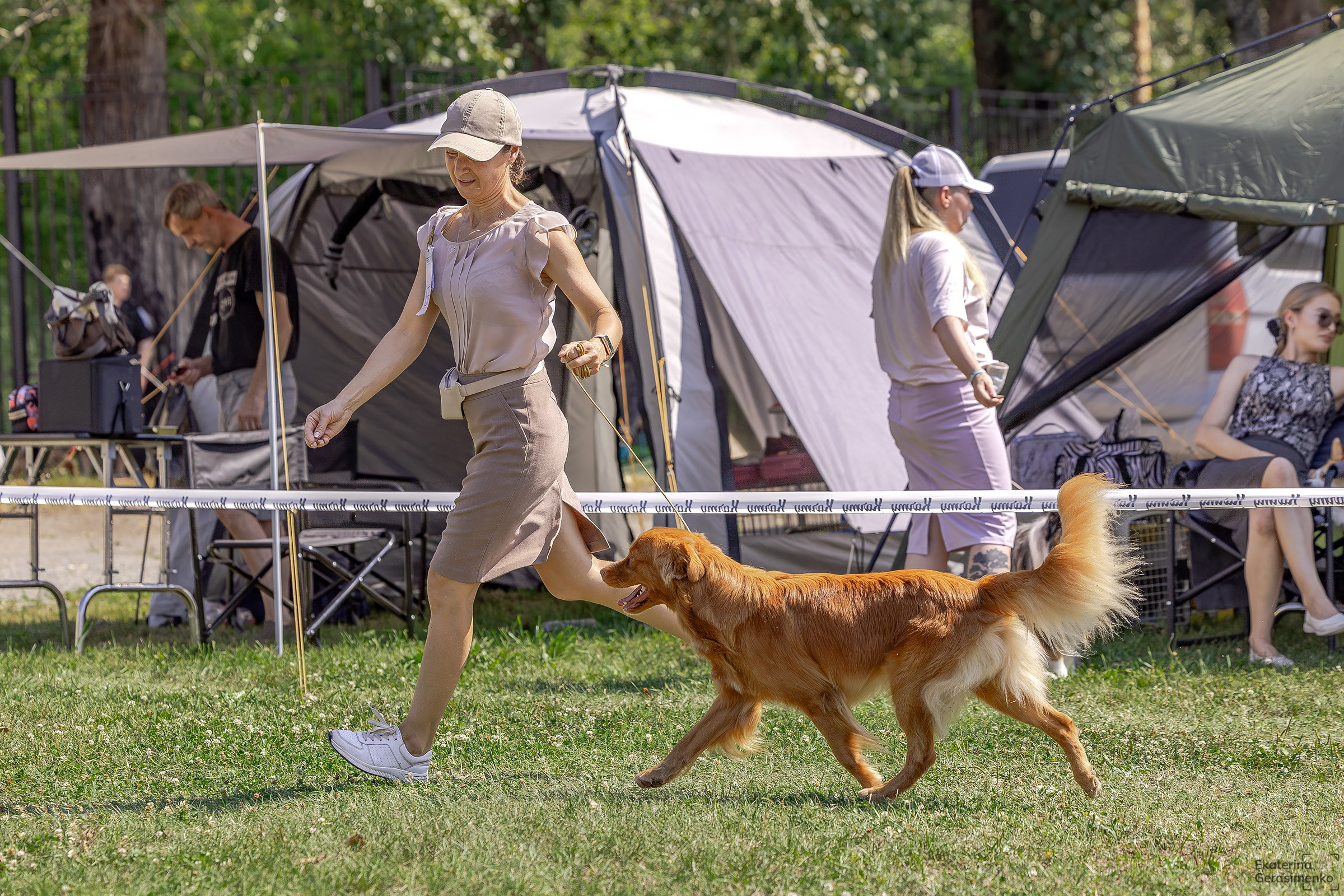 2–3 августа 2025, Выставка РКФ, г. Пермь. Htykk_photo