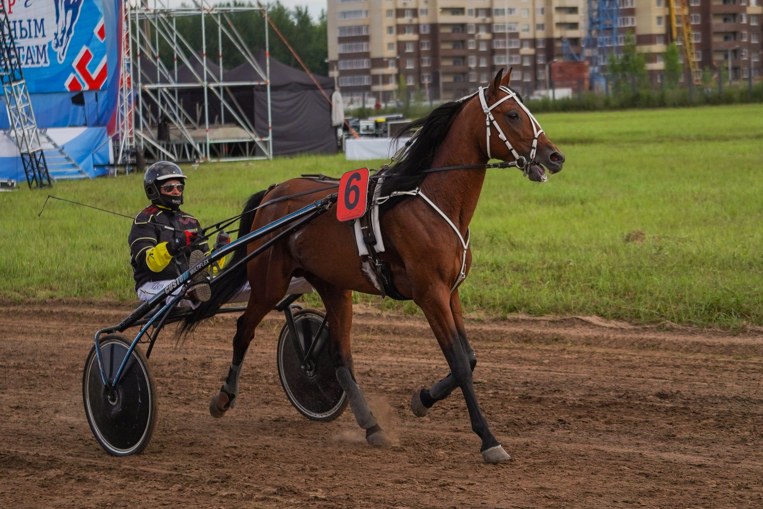 III конные бега на Кубок Главы Чувашии. Фотограф-анималист, портретный фотограф в Чебоксарах Мария Садыкова