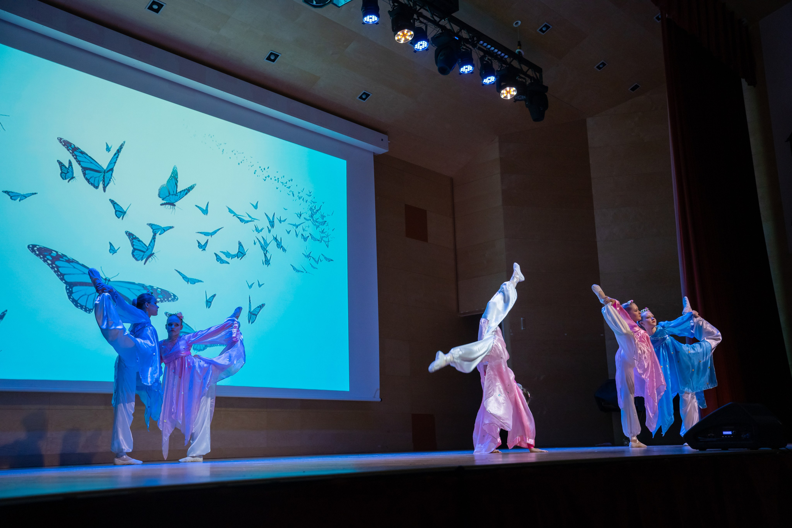 Фотосъёмка концерта. Фото / Видеосъемка в Москве