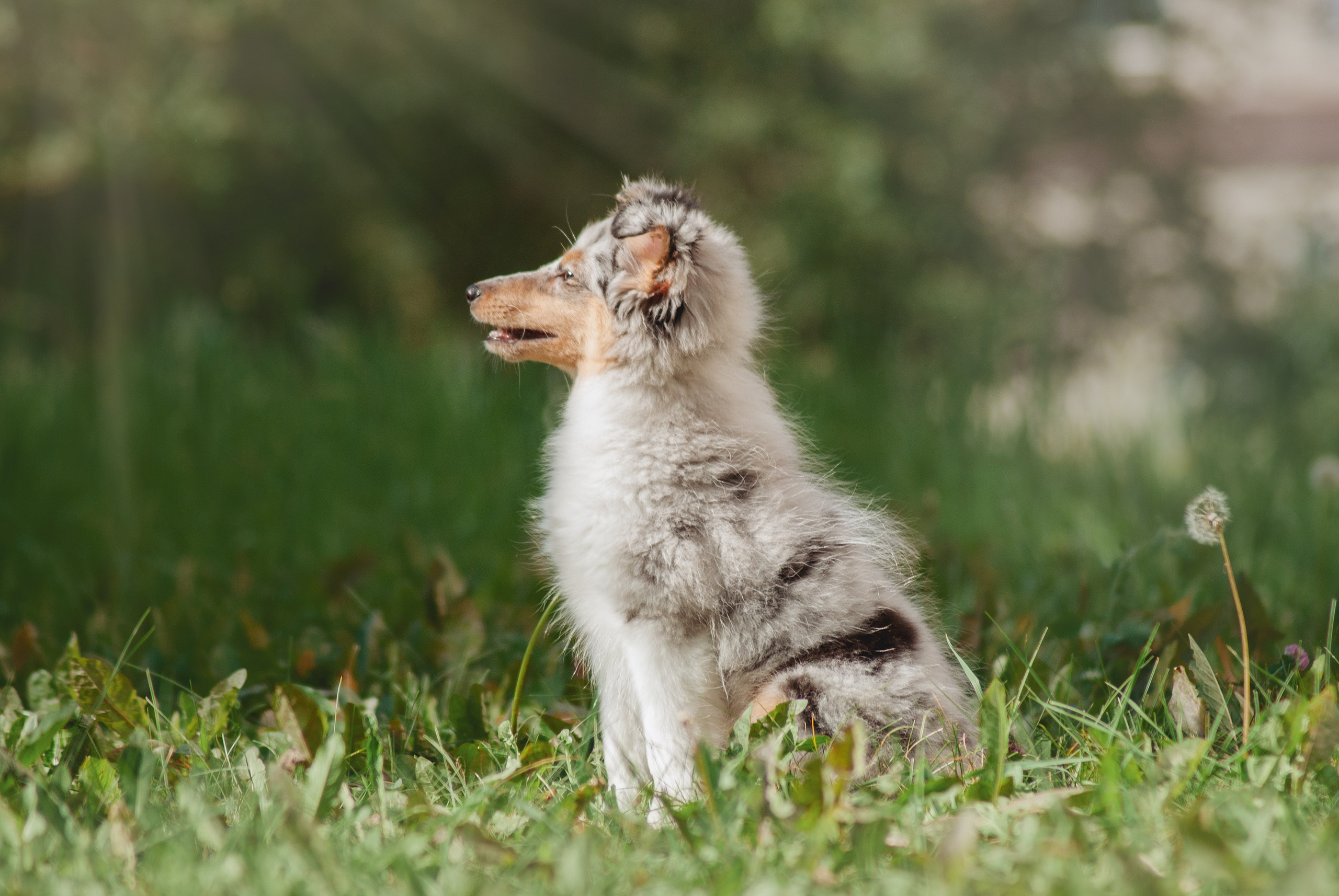 Отзывы. Фотограф в Тюмени Лизавета Сапицкая