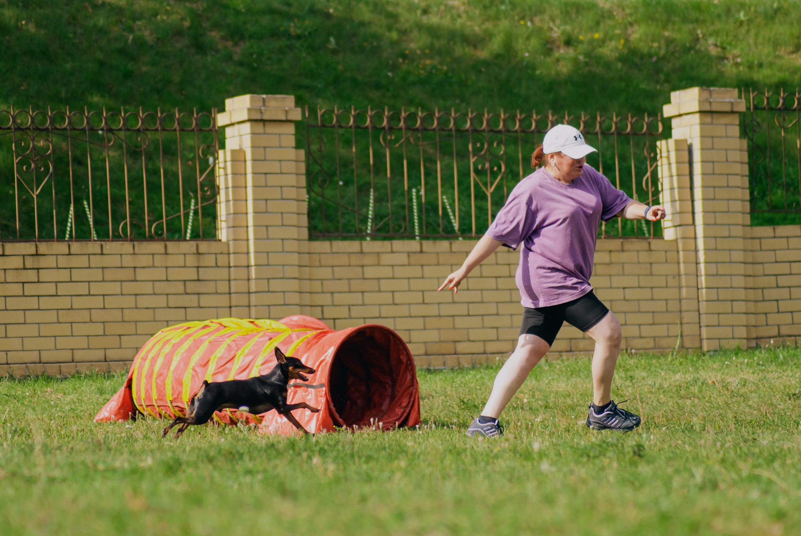 Аджилити. Фотограф в Тюмени Лизавета Сапицкая