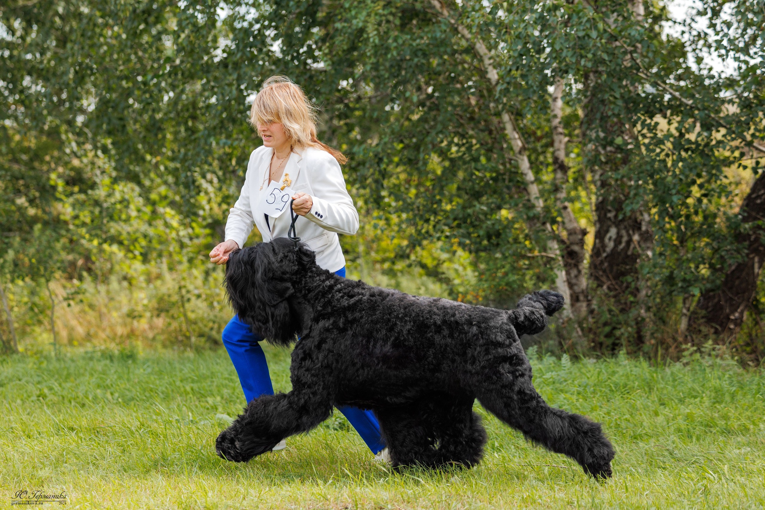 Астана 2хCACIB 17-18.08.2024. Фотограф-анималист Юлия Германика