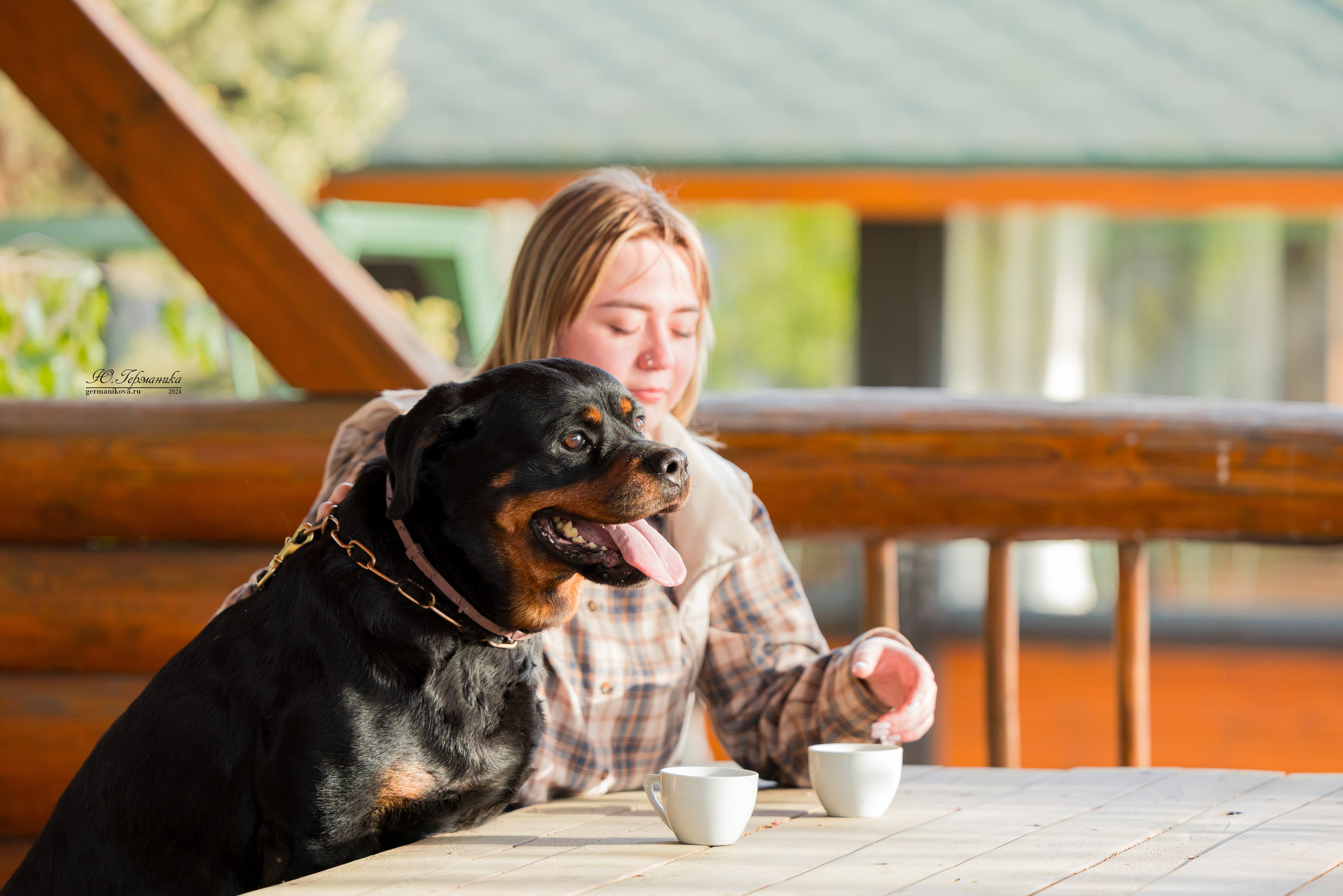 Саратов 2 х моно ротвейлеров 28-29.04.2024. Фотограф-анималист Юлия Германика