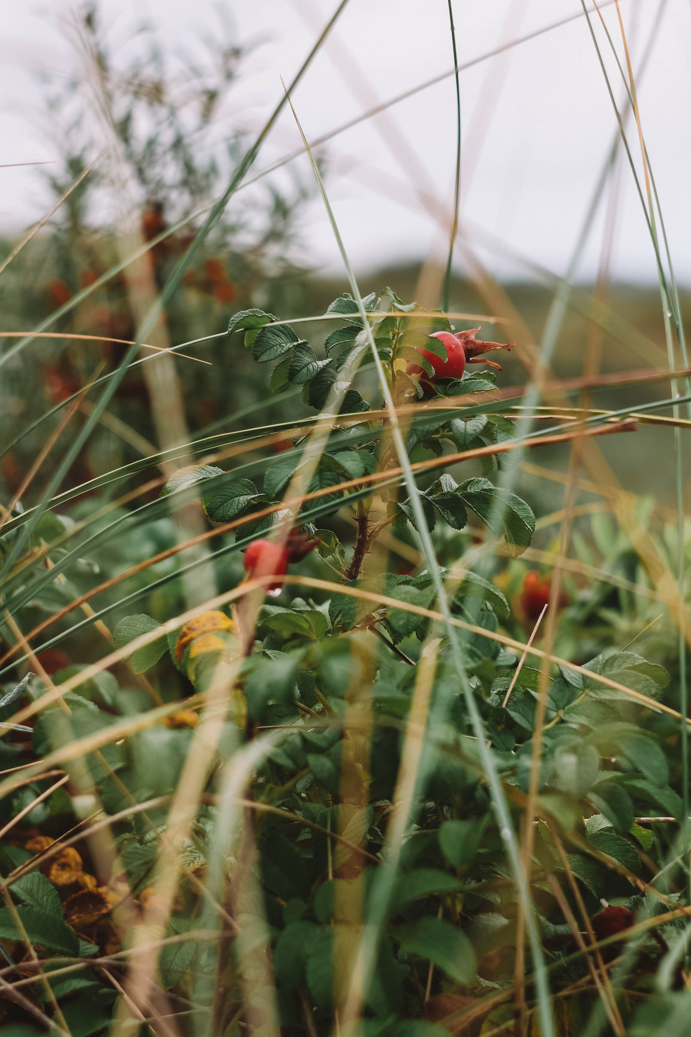 Калининград