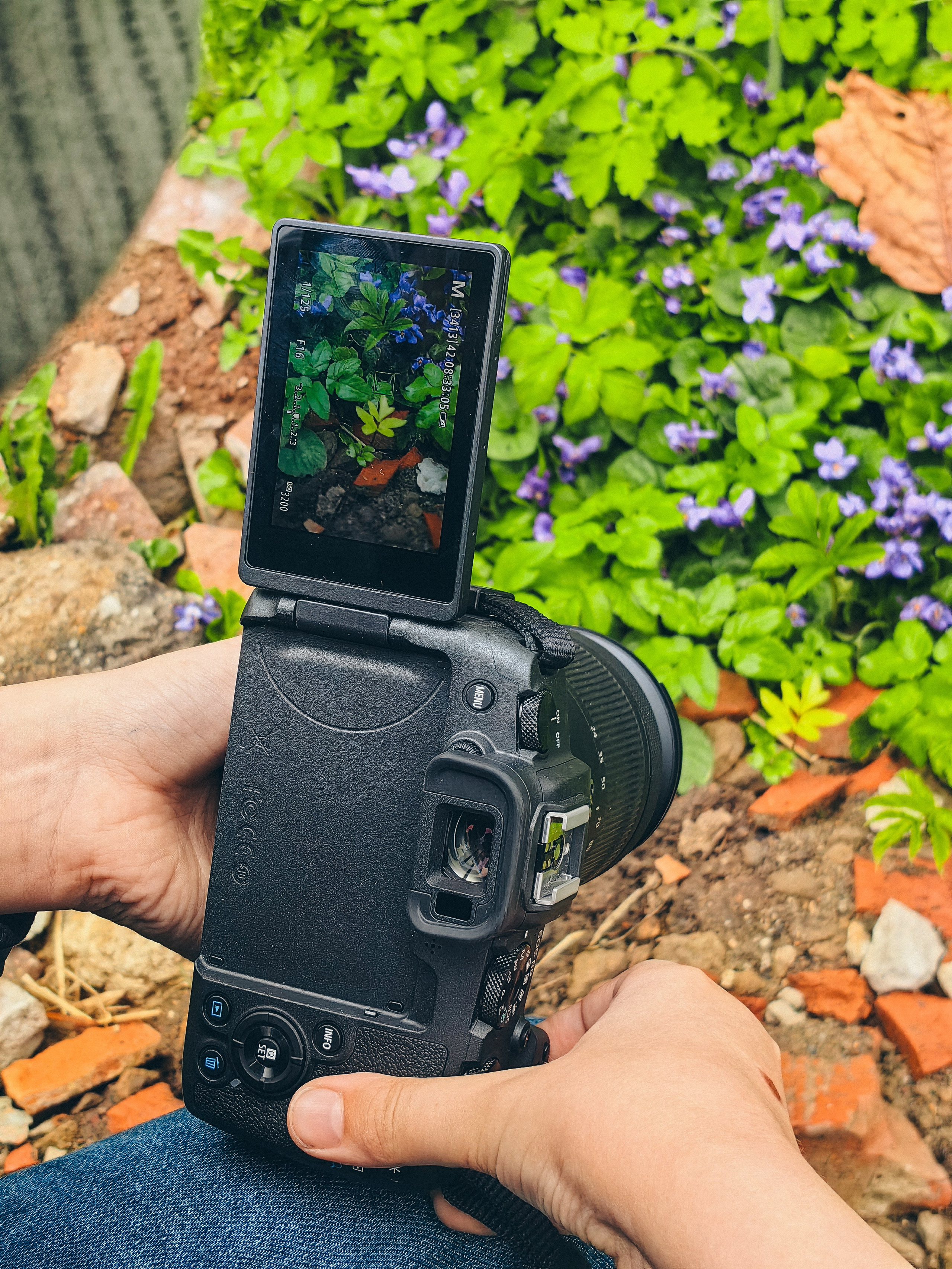 Фотошкола Таты Пахомовой. Творческая Таты Пахомовой