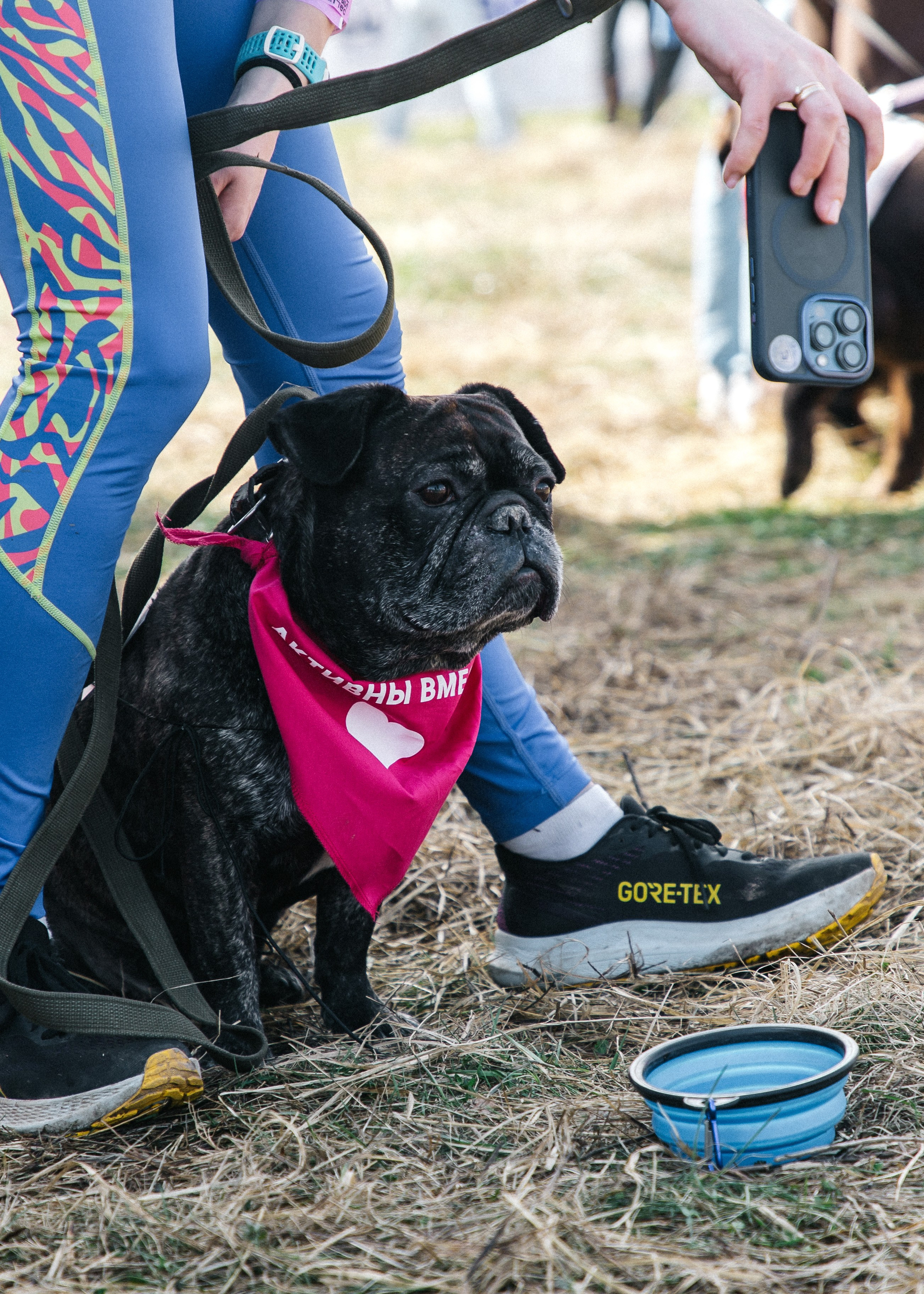 Кросс «Быстрый пёс» 2025. Репортажный фотограф в Москве