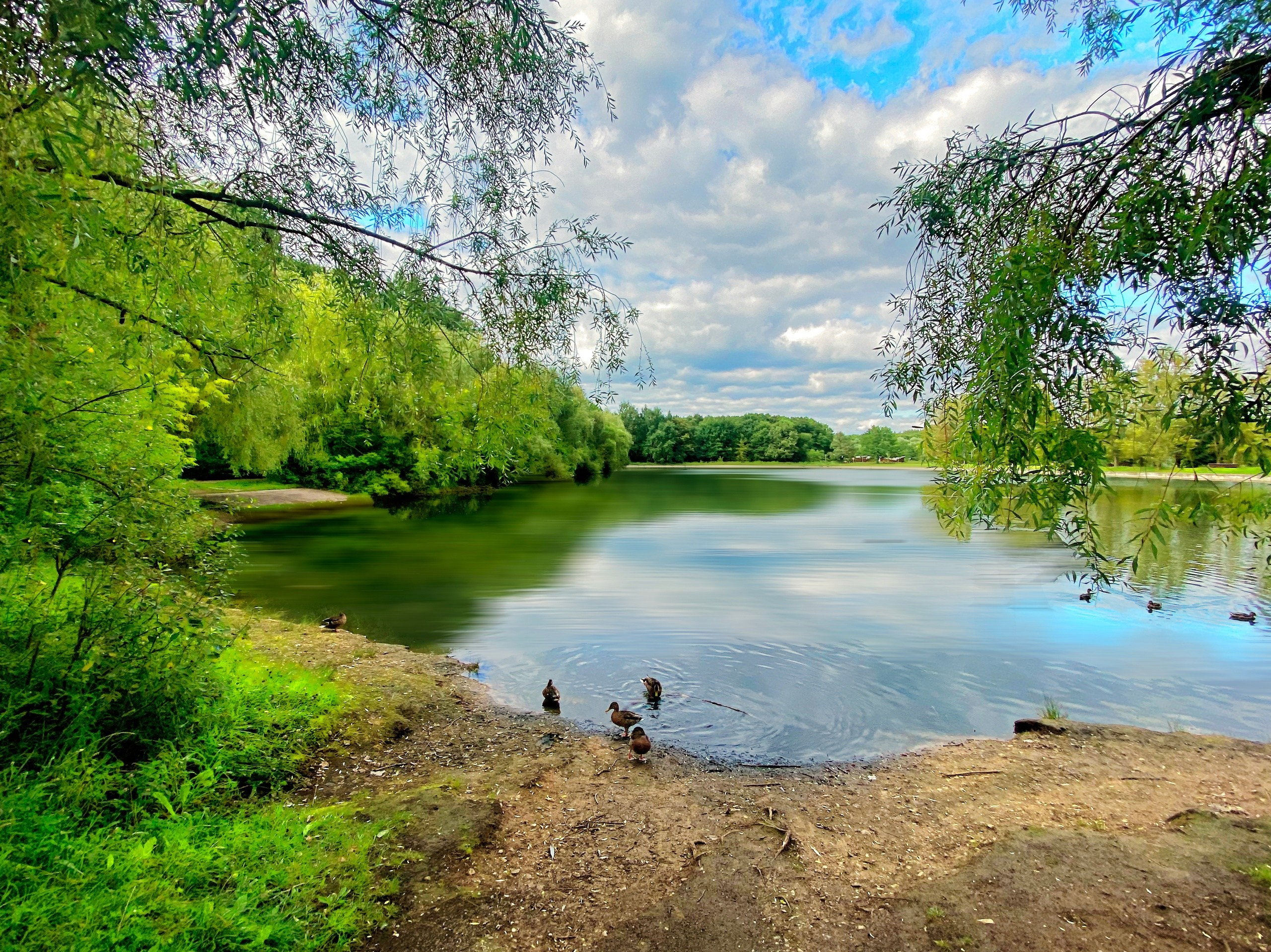 ПРИРОДА. Слепки времени. Фотографии природы и событий. Москва. Сергей Аллагулов