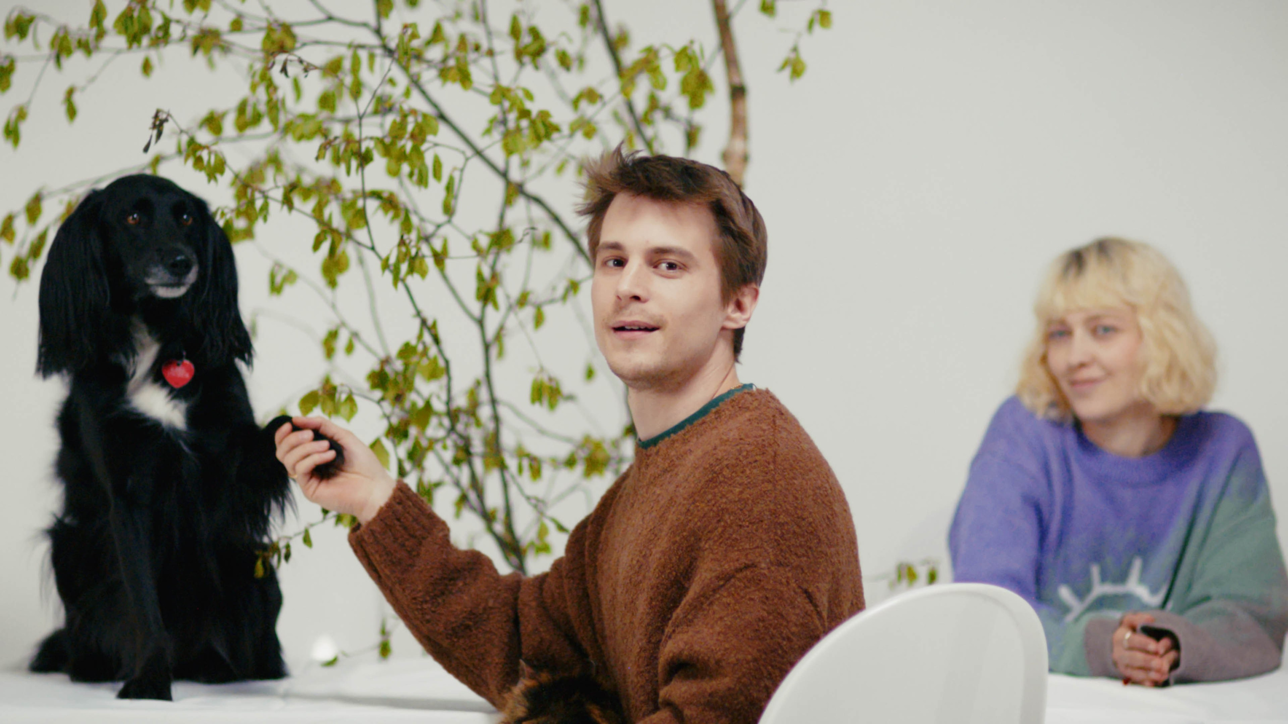 Проект «Помощь». Александр Попов