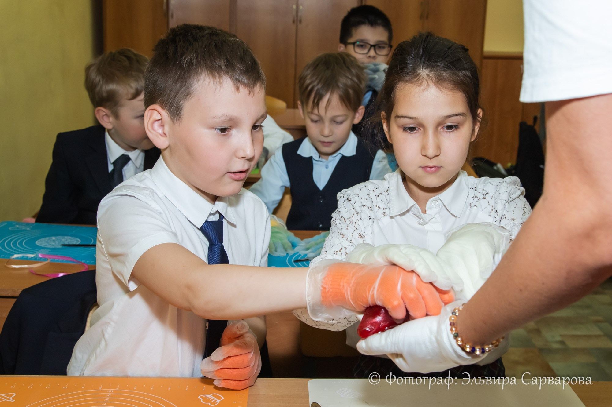 МК по карамели в гимназии 64. Репортажный Фотограф