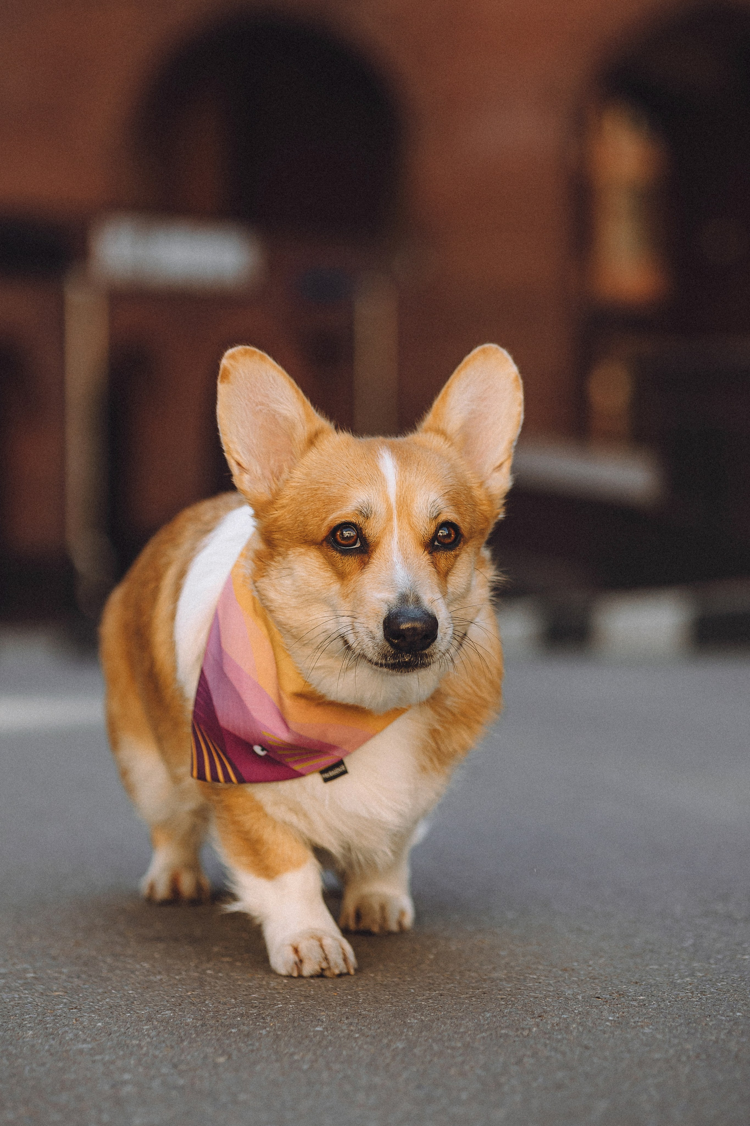 Вика и Мейзи