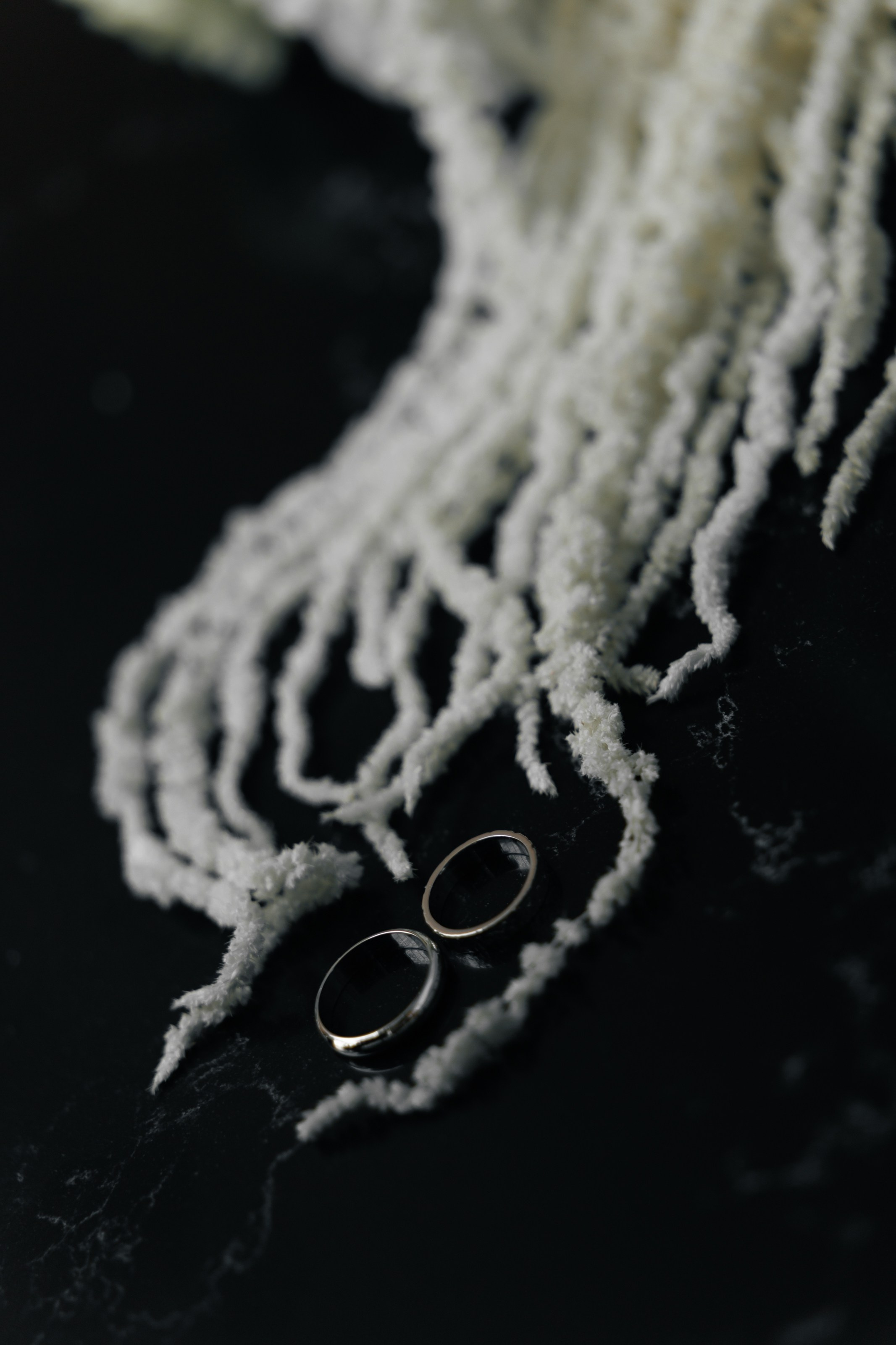 Марк и Елизавета. Свадебный фотограф в Ростове — на — Дону Александра Пивоварова