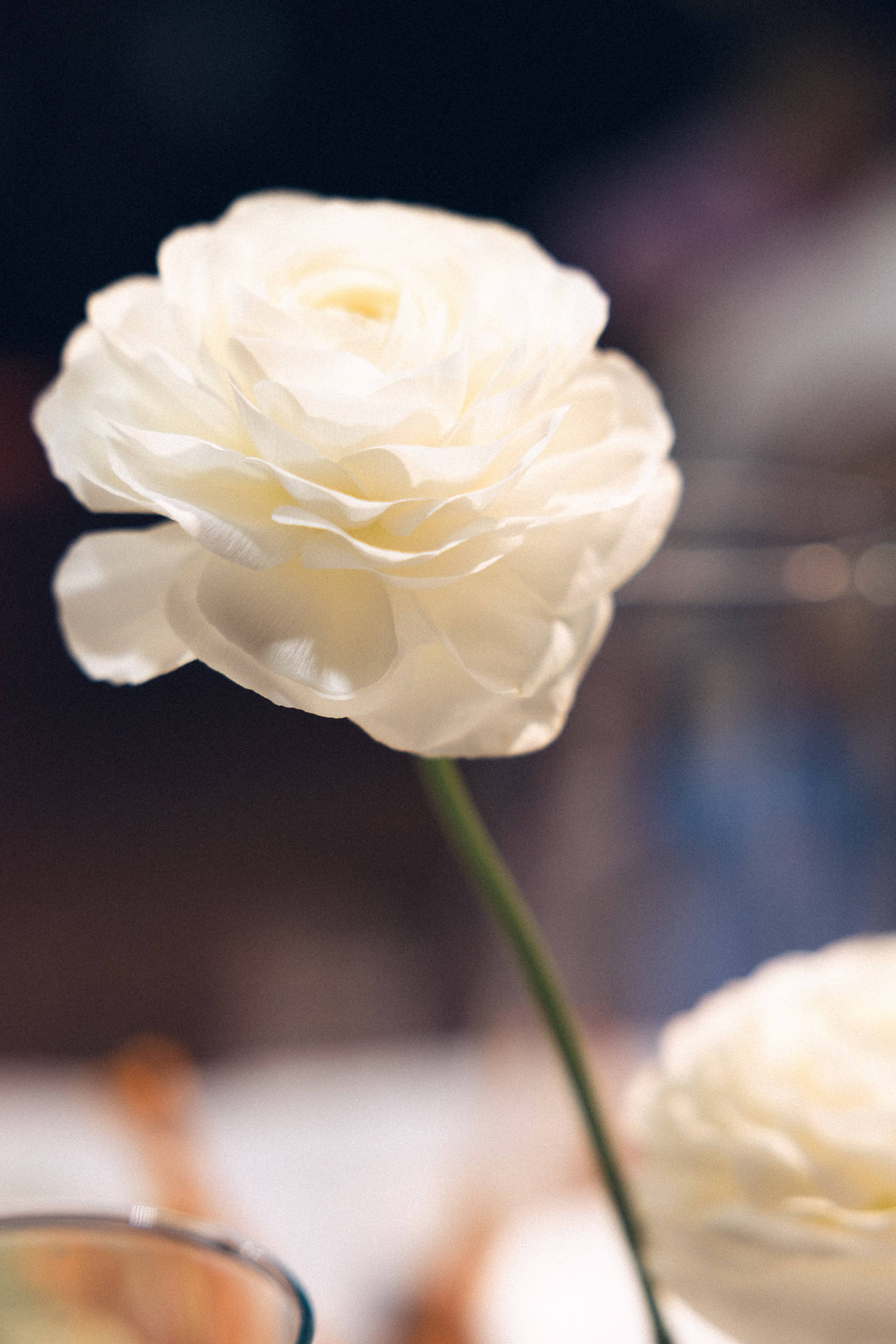 Руслан и Юлия. Свадебный фотограф в Ростове — на — Дону Александра Пивоварова