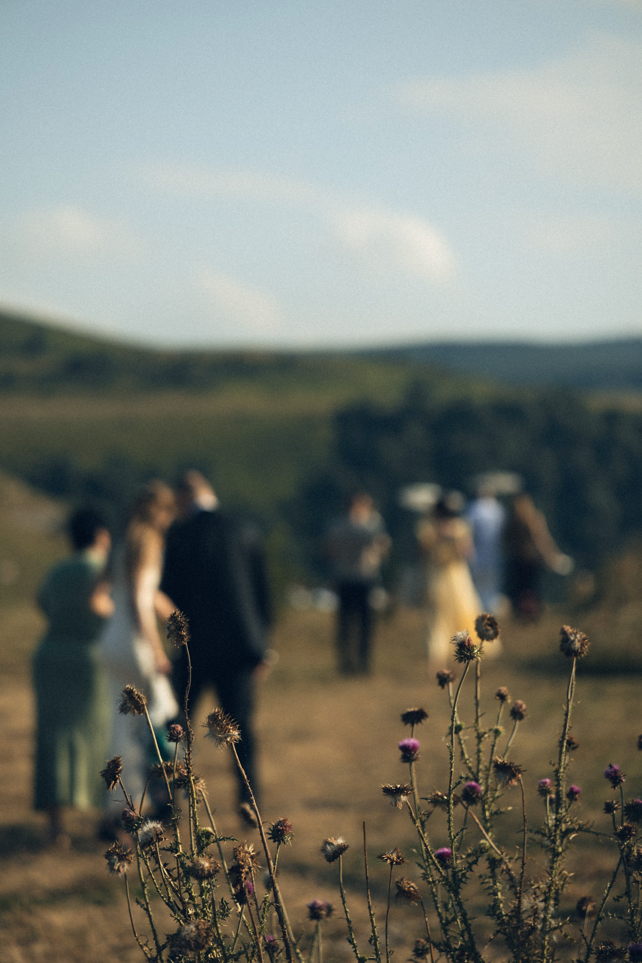Влад и Ева. Свадебный фотограф в Ростове — на — Дону Александра Пивоварова
