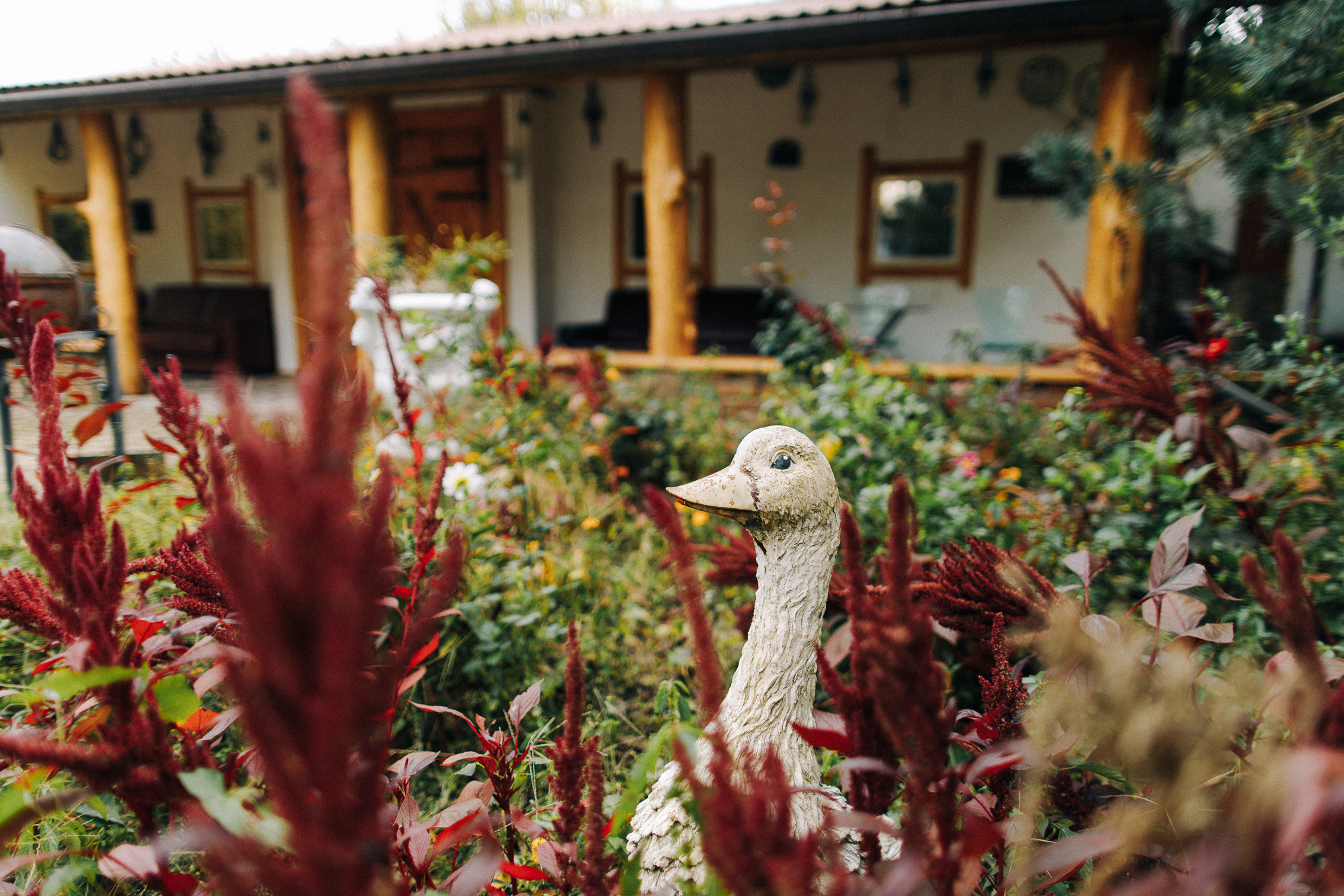 Базы отдыха