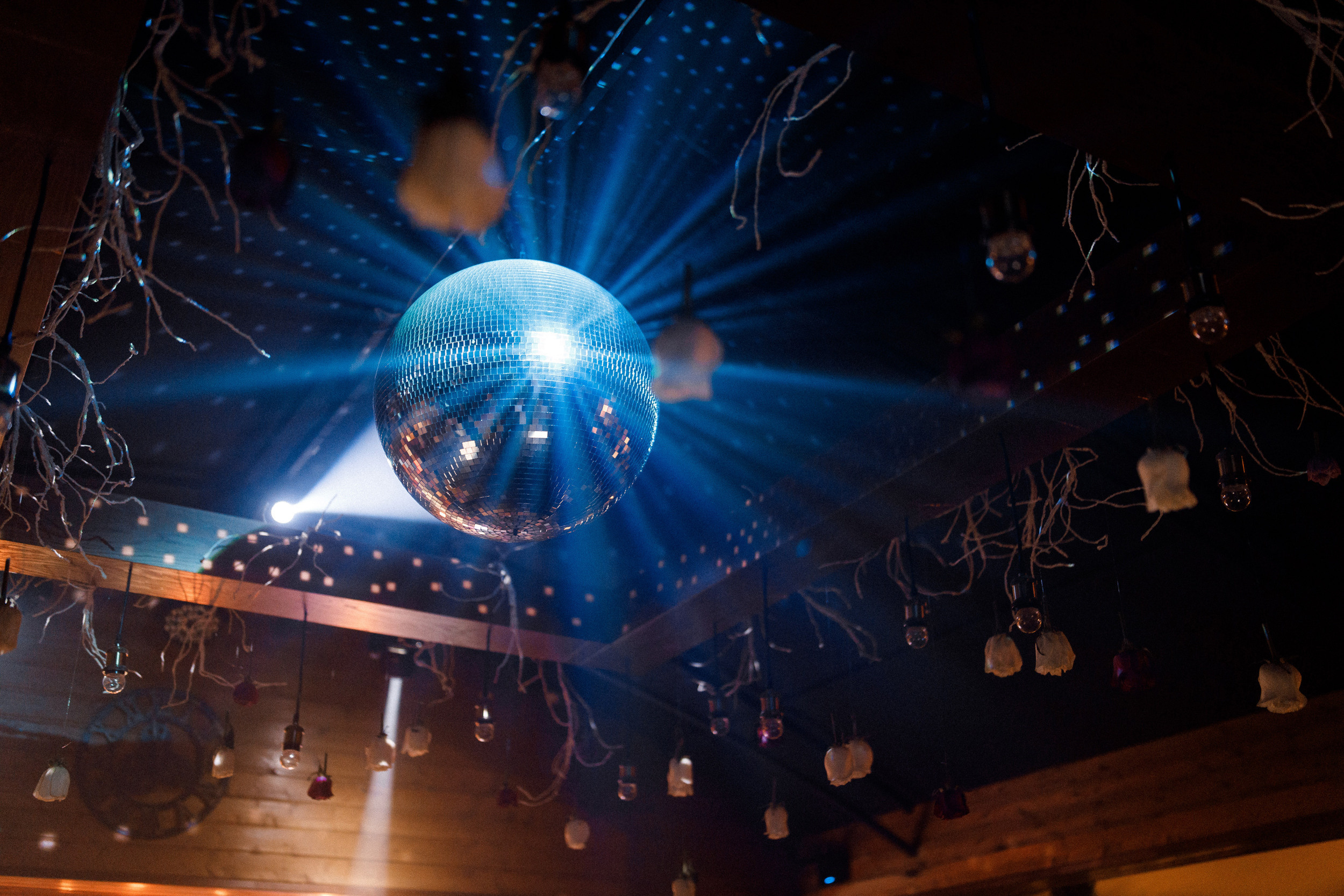 Royal Hall (Славянск-на-Кубани)