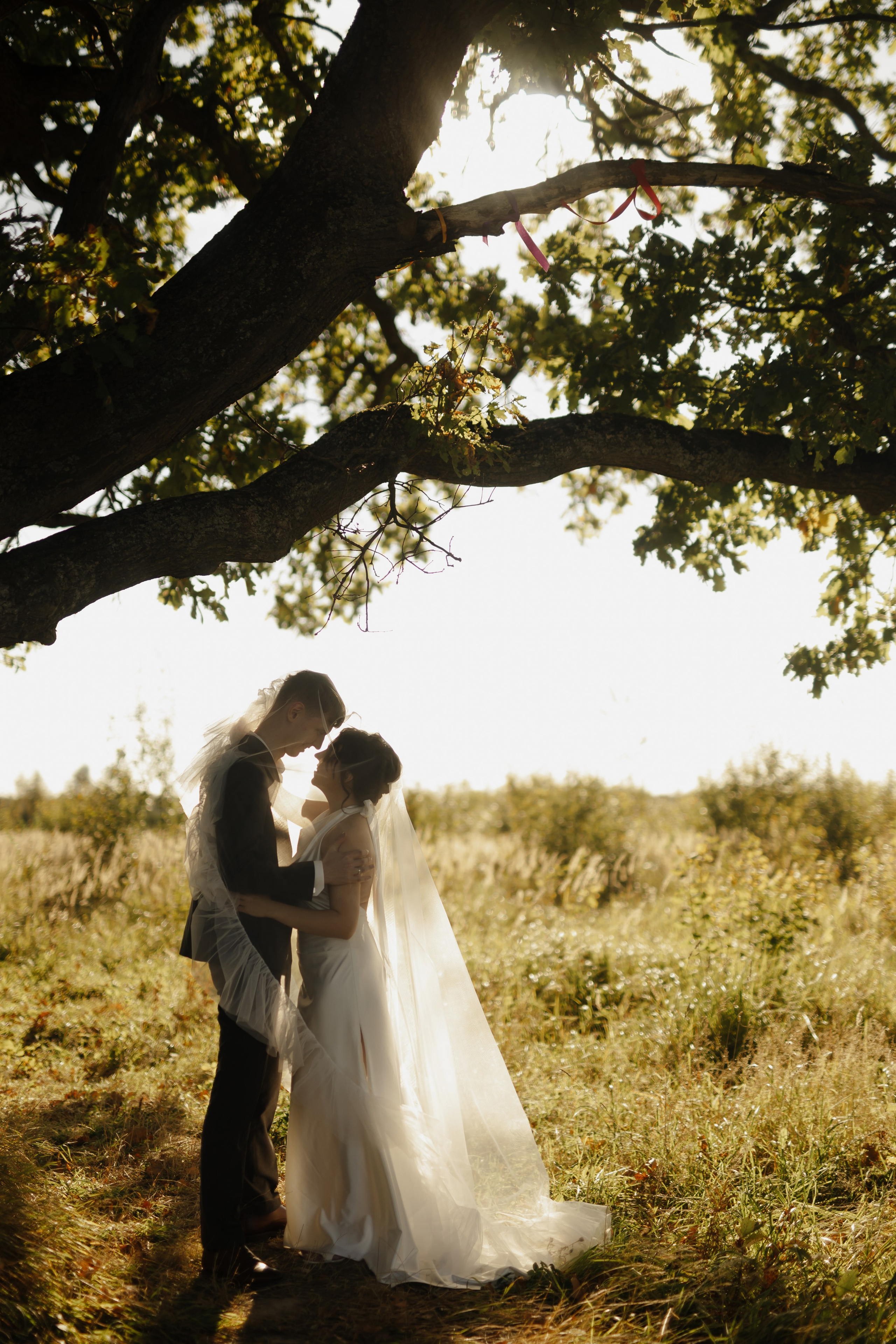 Свадьба Никиты и Алёны. Фотограф Кольчугино/Владимир/Москва Елизавета Иода