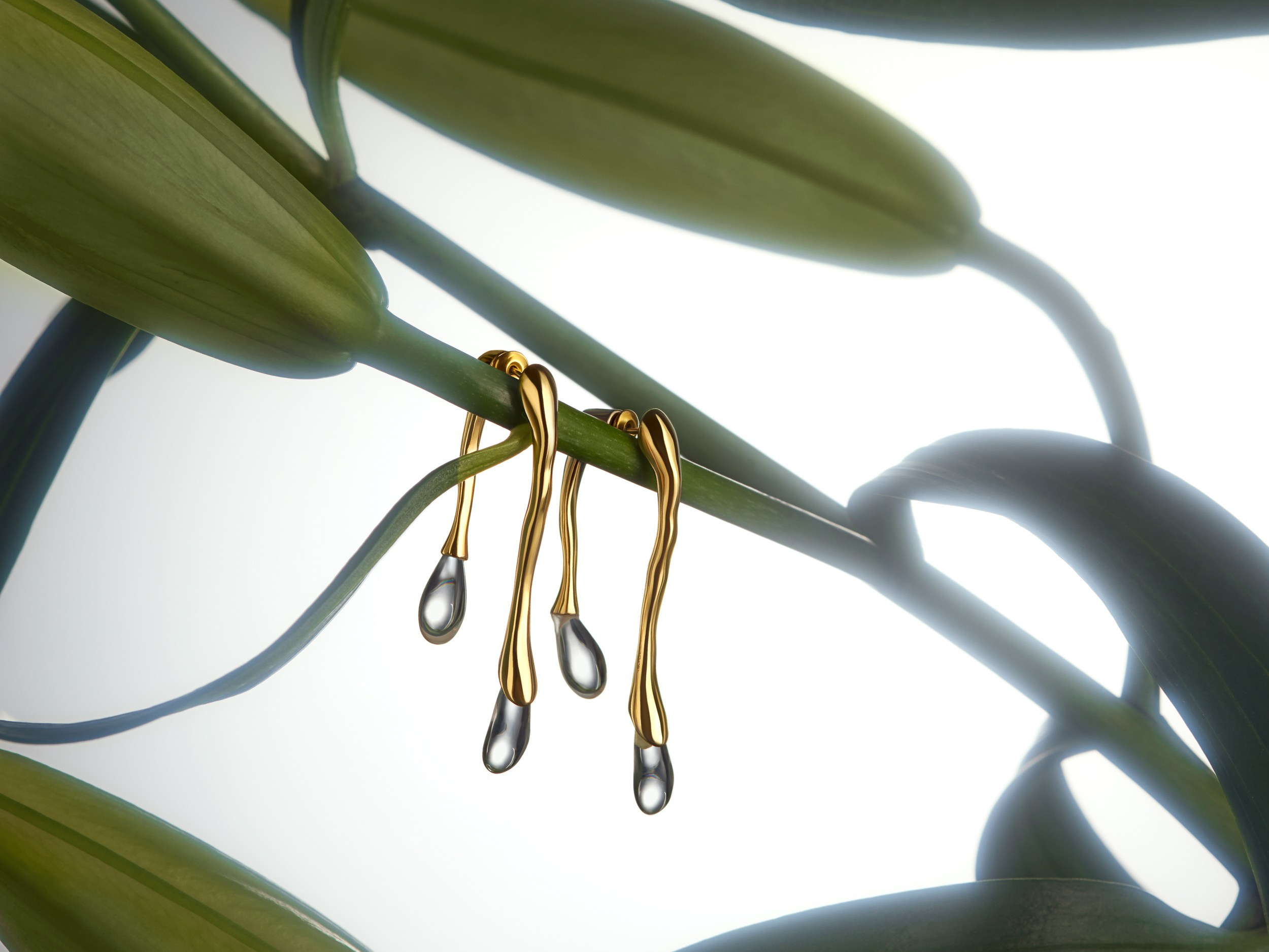 Jewelry. Главная