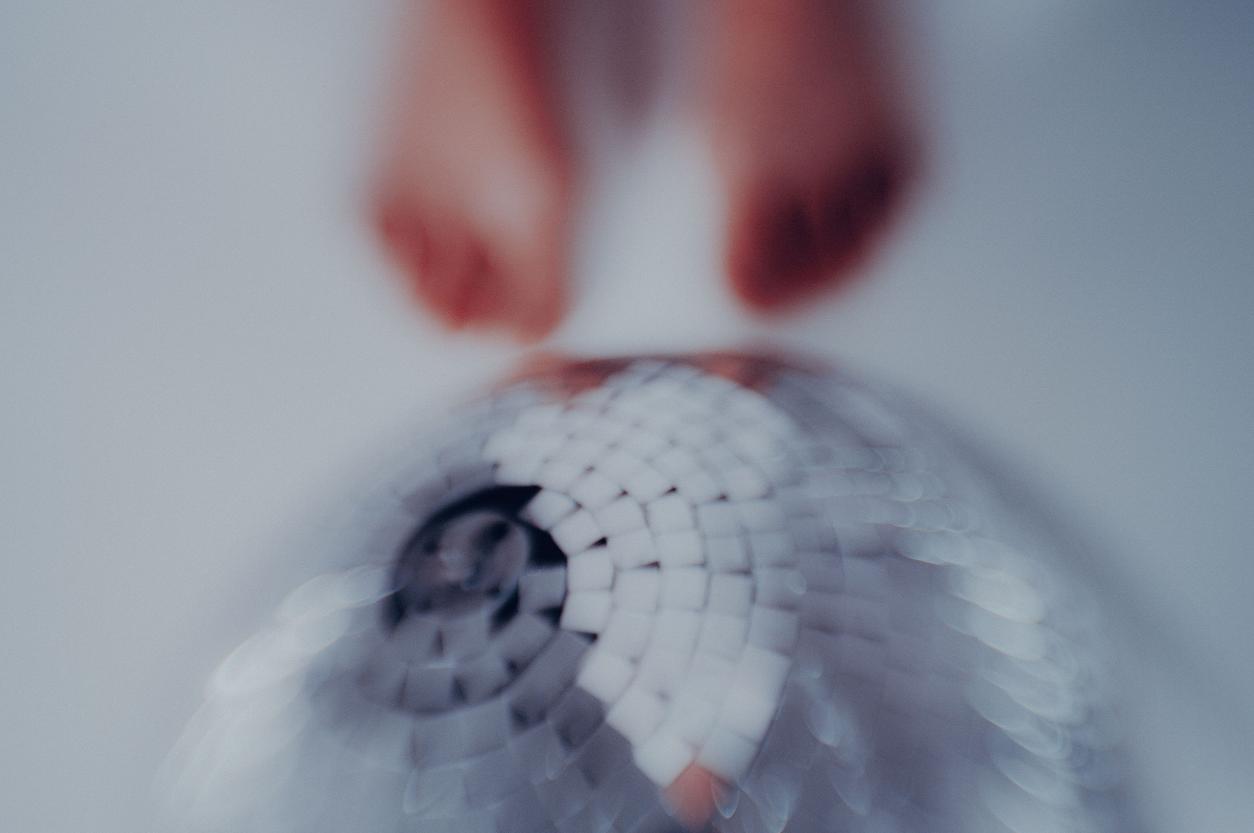 AUTOR'S ARTISTIC PHOTOGRAPHY. International visual artist