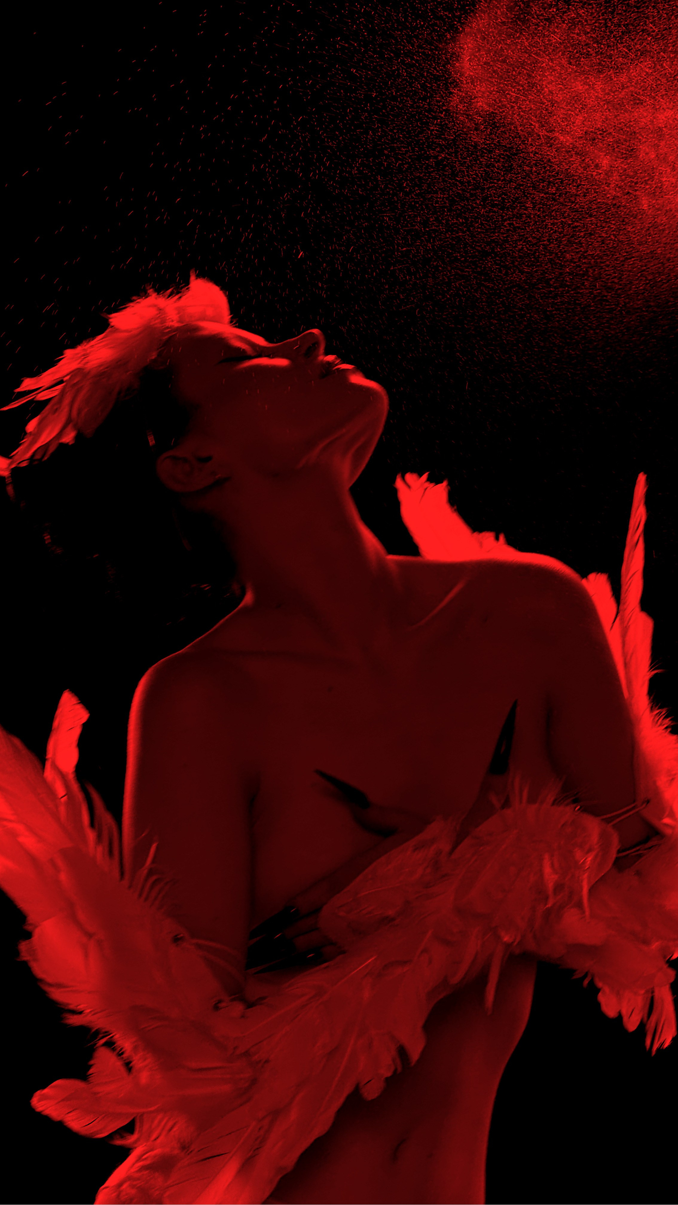 Перо. Рекламный и fashion фотограф в Санкт-Петербурге — Юлия Дроздова