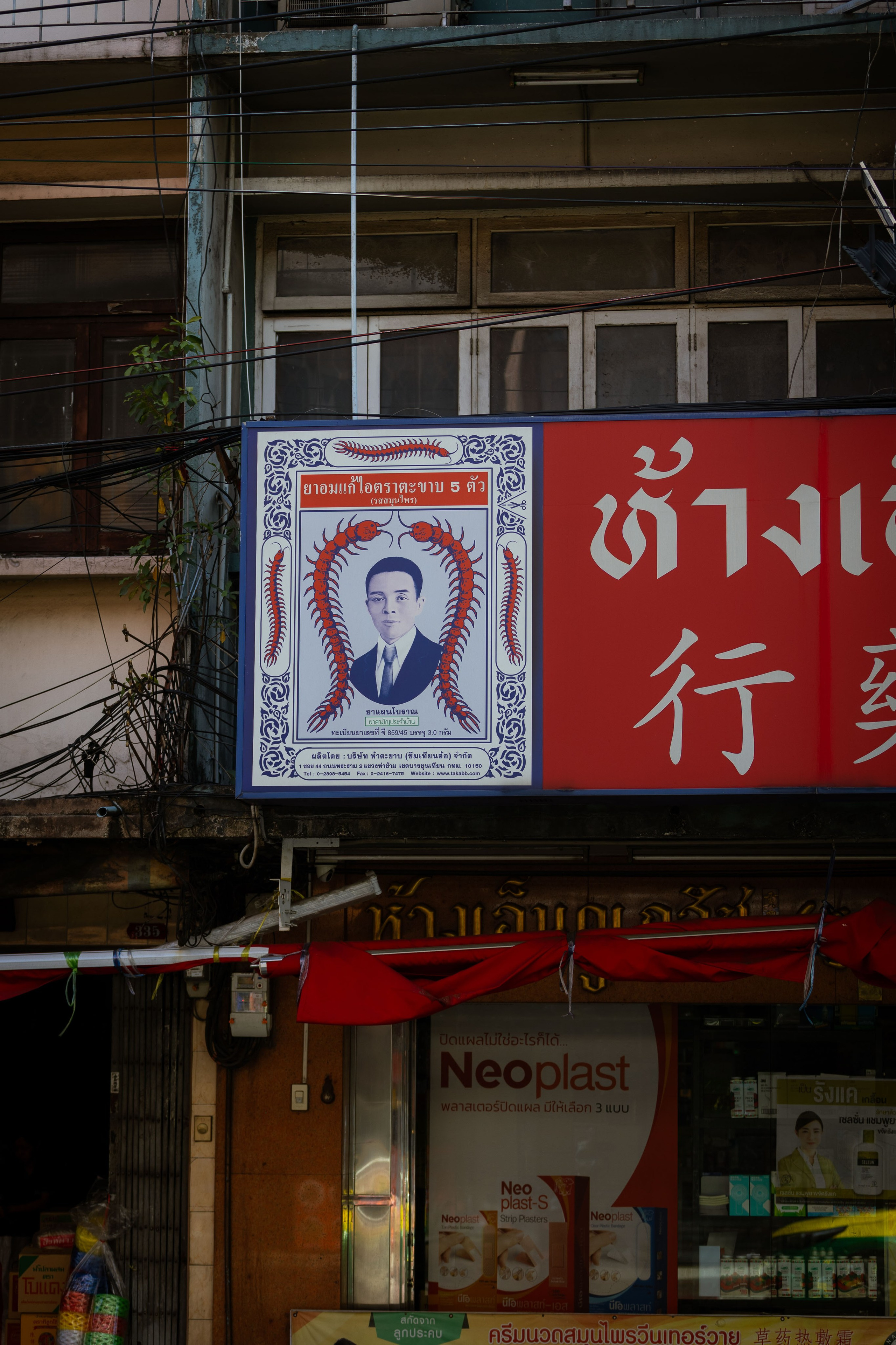 Вьетнам (зима 2025-2026). Фотограф Виноградов Константин