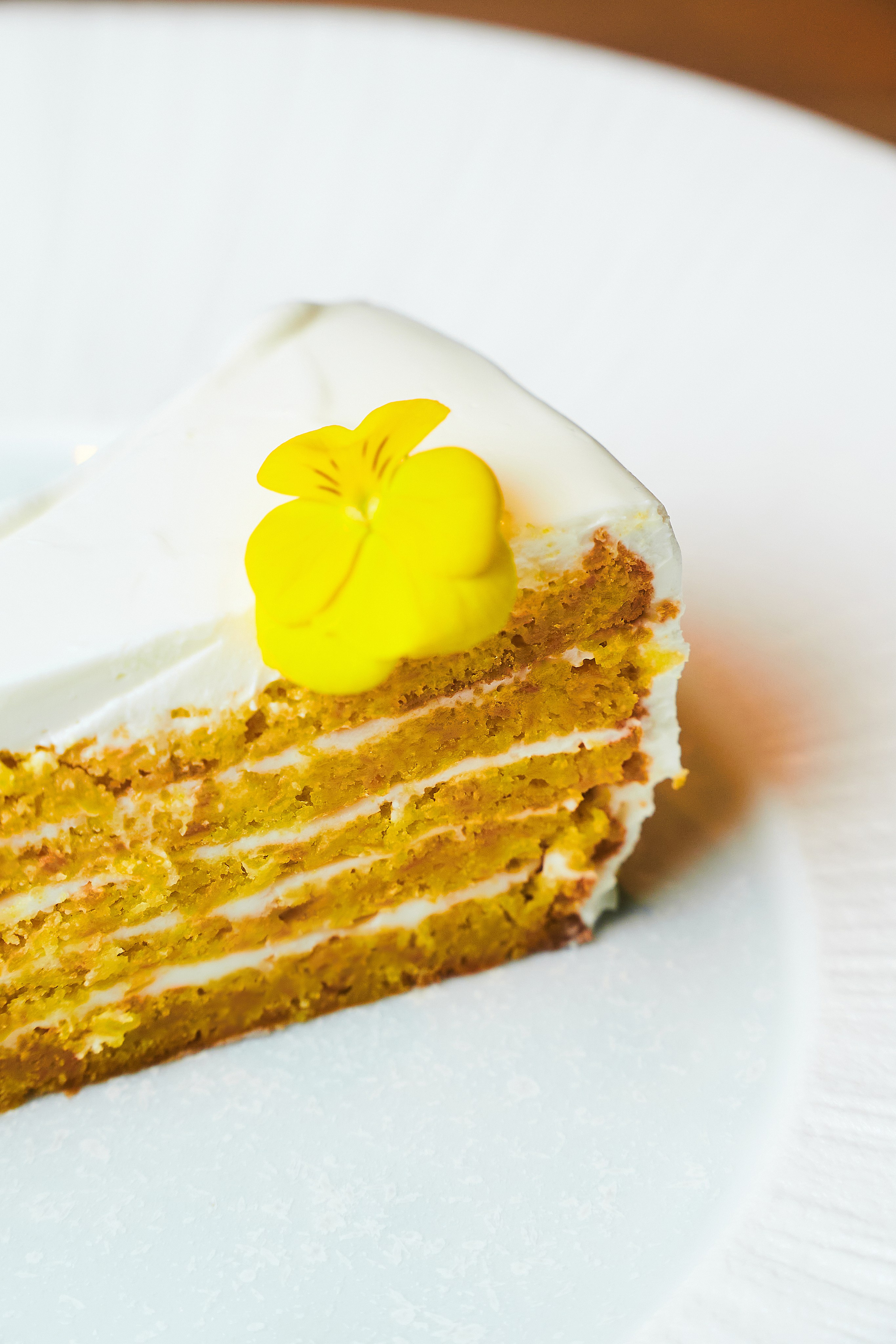 Kaba. Фотограф Казань