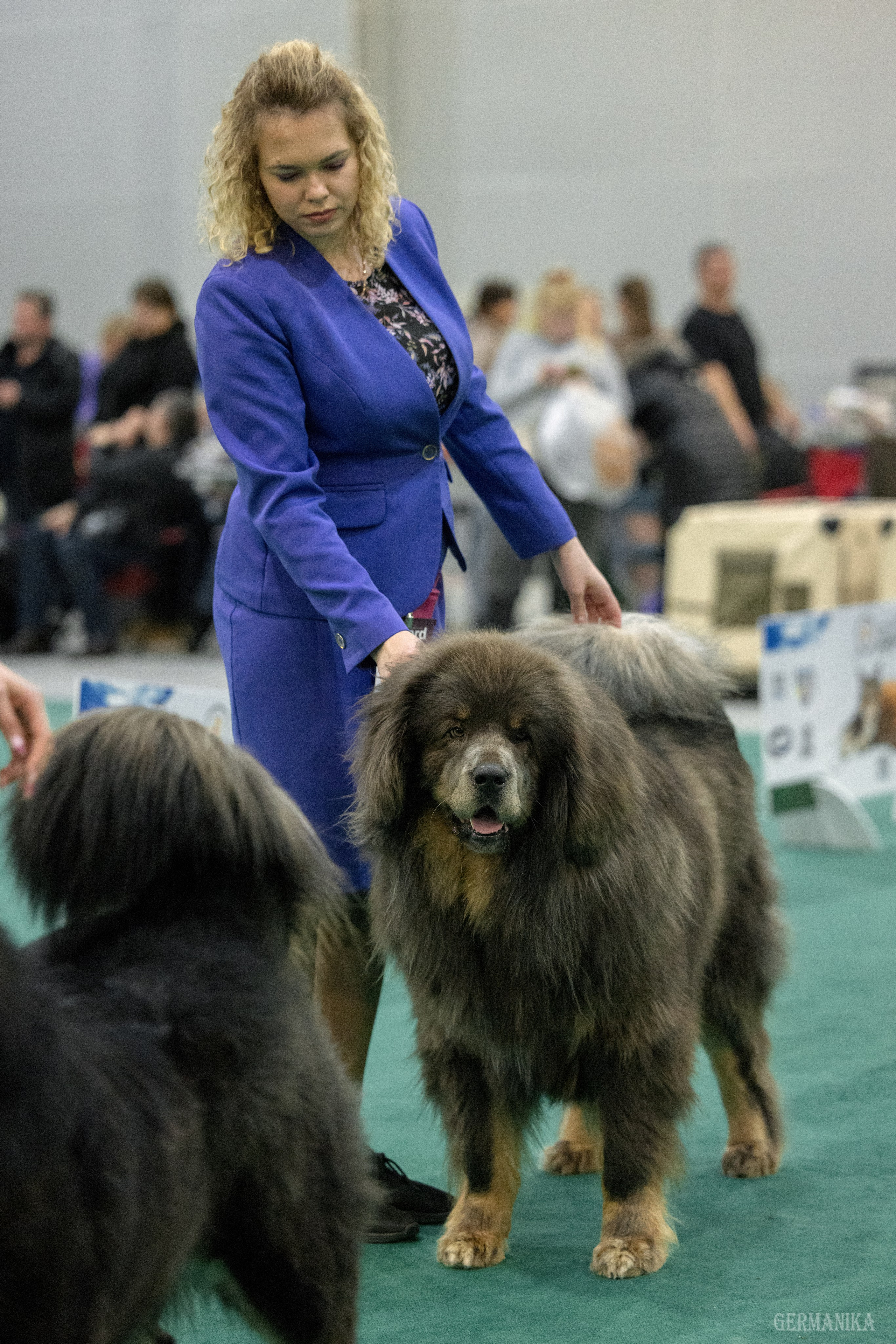 Сабанеевка 26-27.01.2024. Фотограф-анималист Юлия Германика